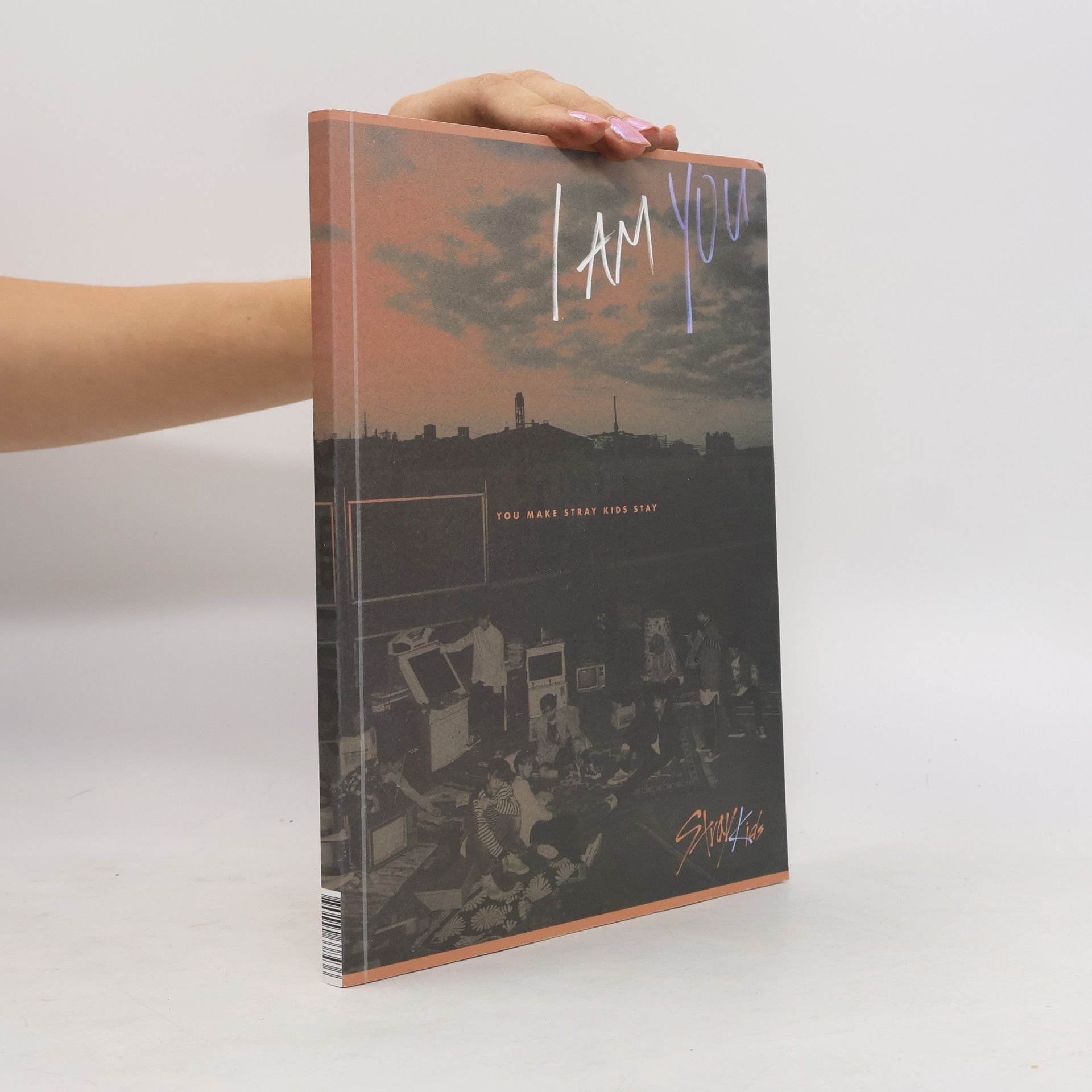 kolektiv I Am You. You Make Stray Kids Stay