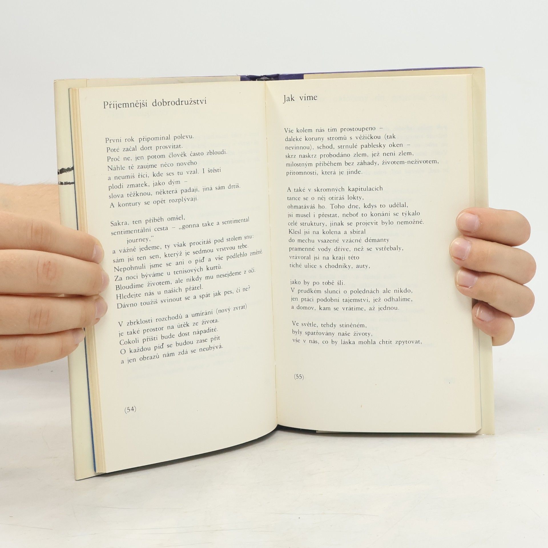 John Ashbery Autoportrét ve vypouklém zrcadle