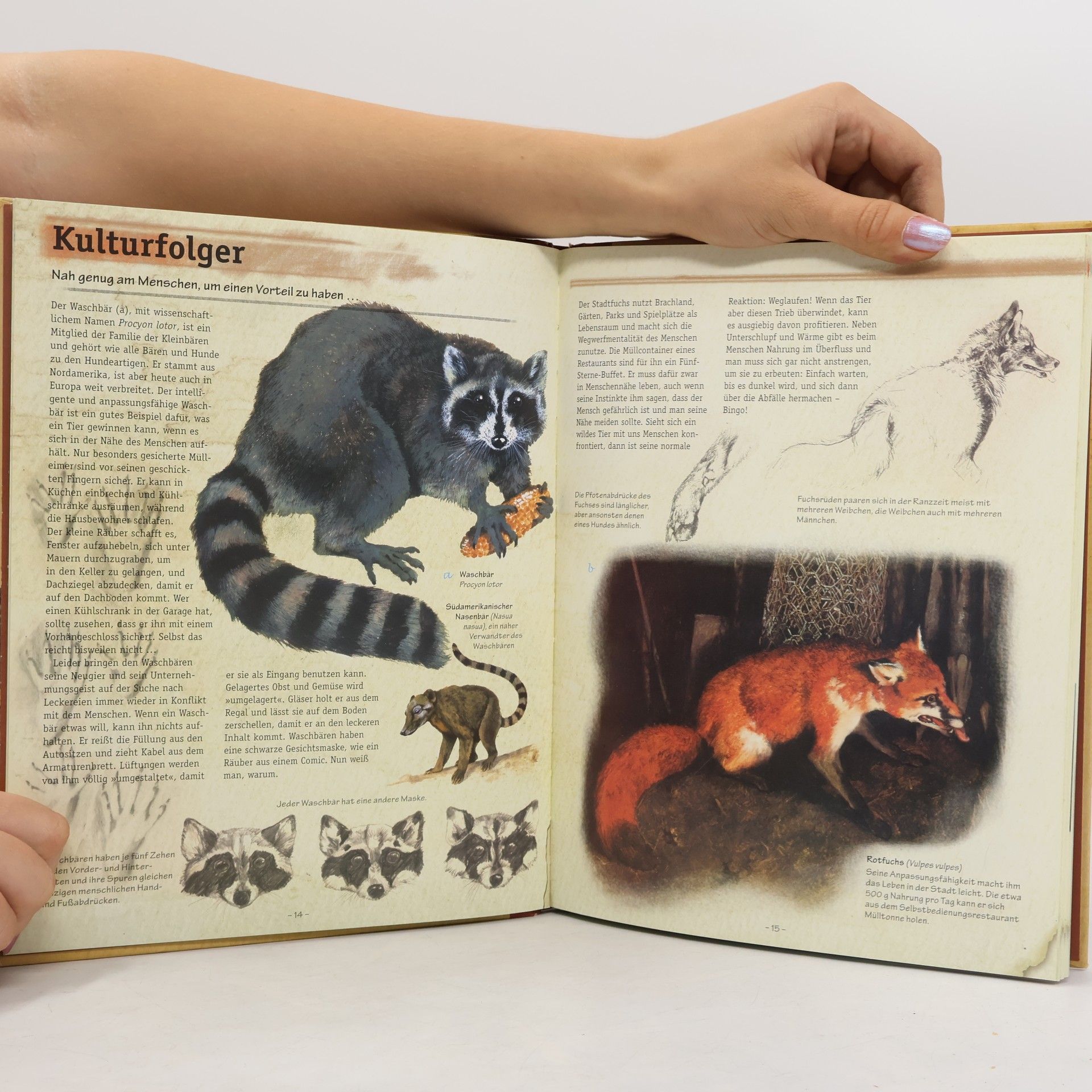Martin Knowelden Überlebenskünstler in der Tierwelt