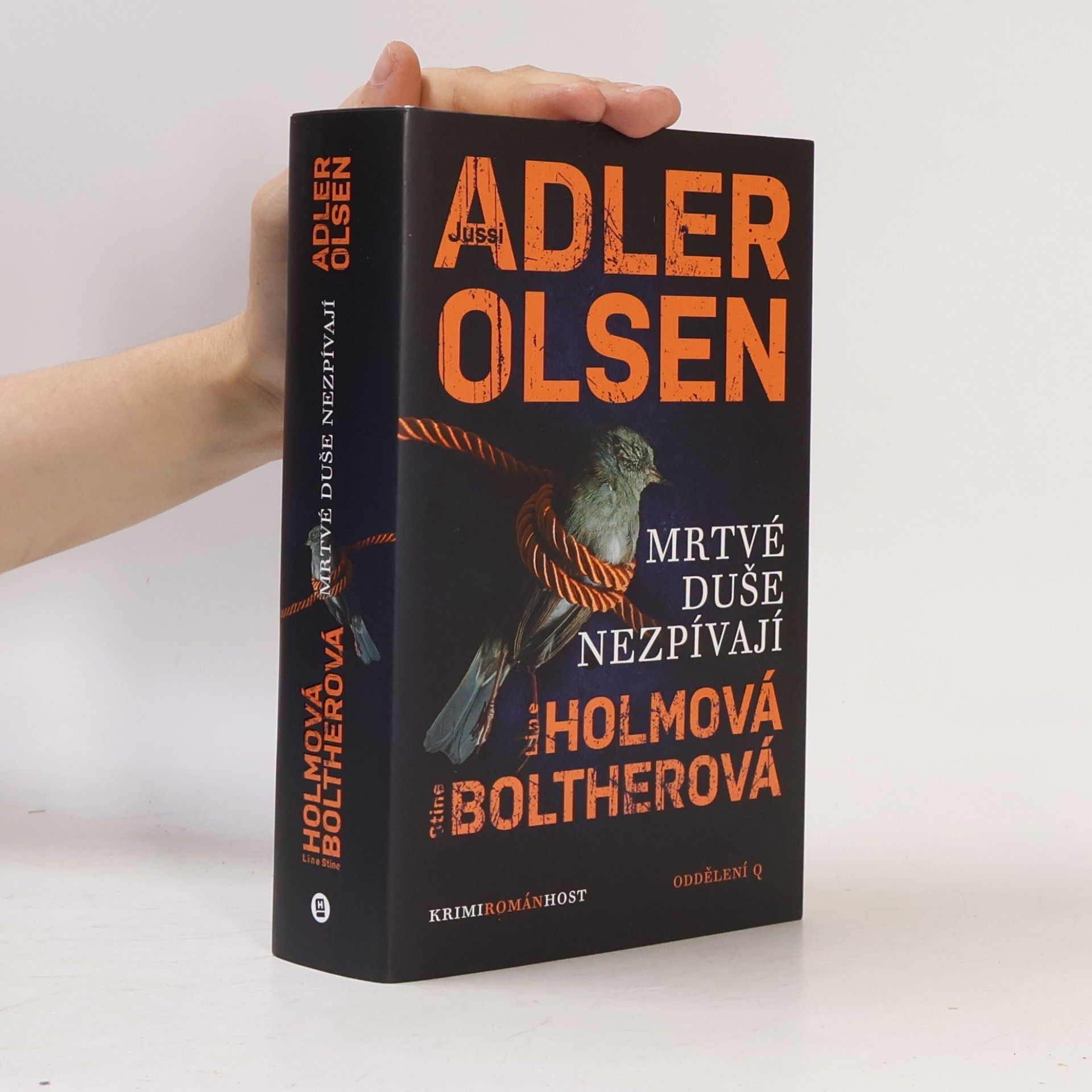 Stine Bolther Mrtvé duše nezpívají