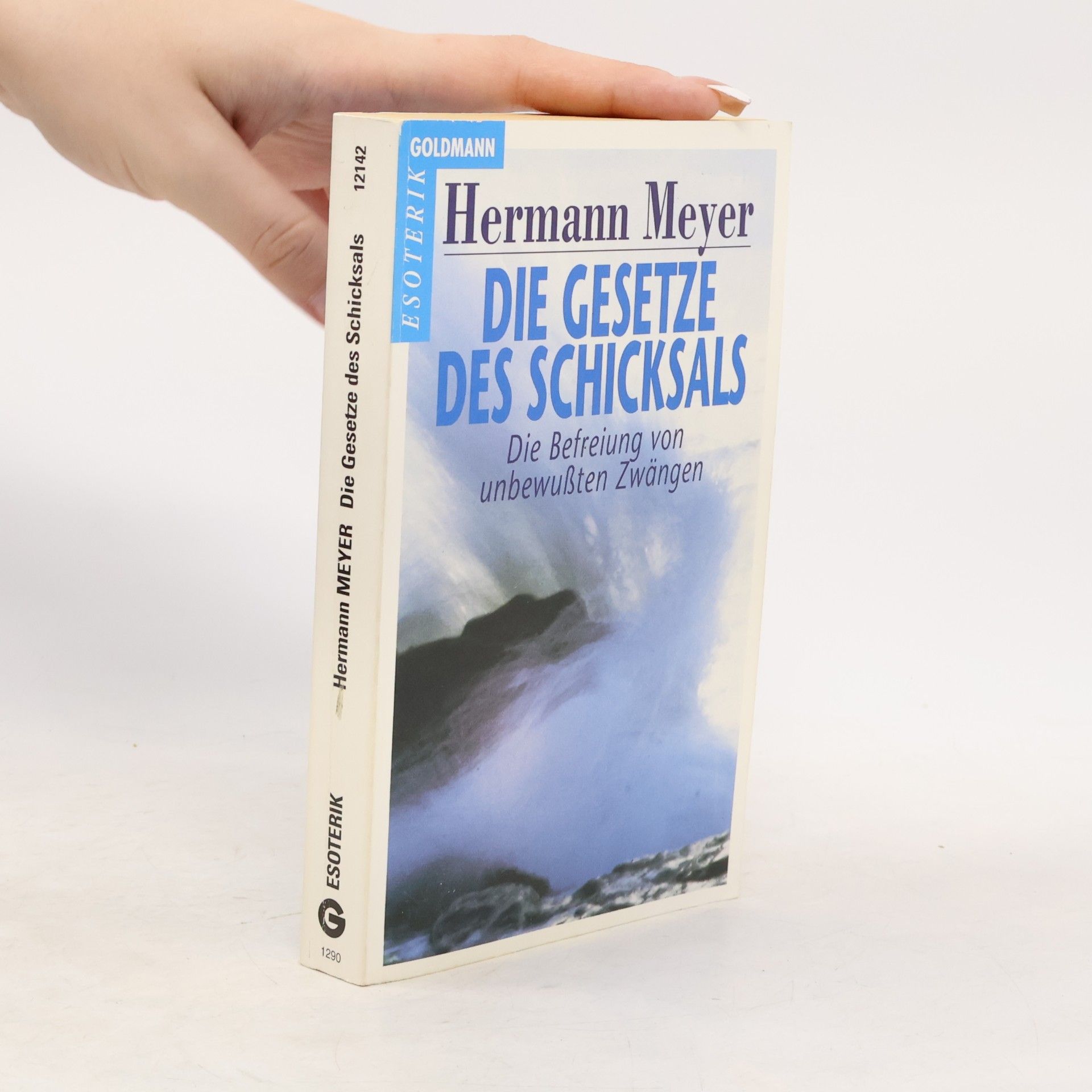 Herman Meyer Die Gesetze des Schicksals