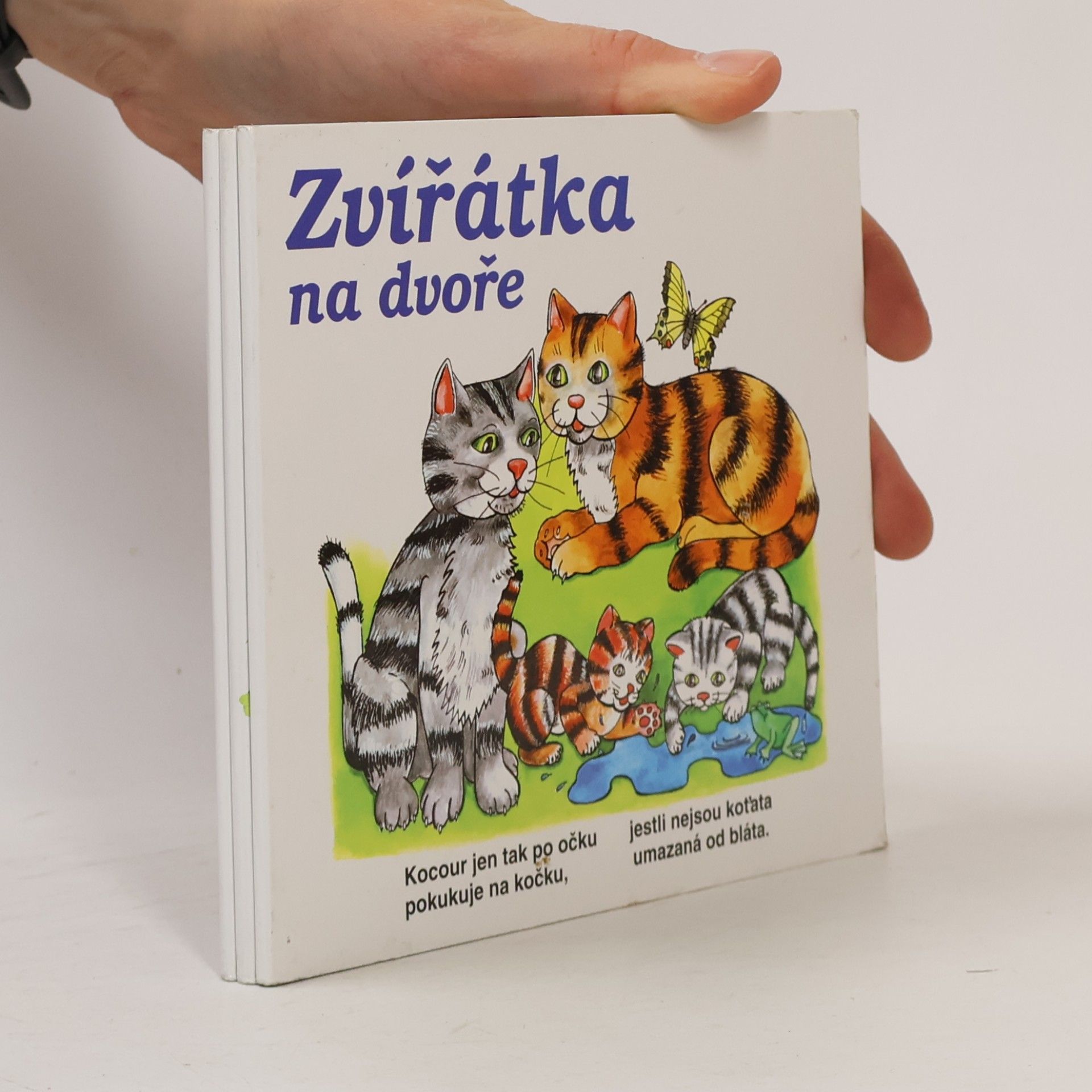 Arnošt Vít Zvířátka na dvoře