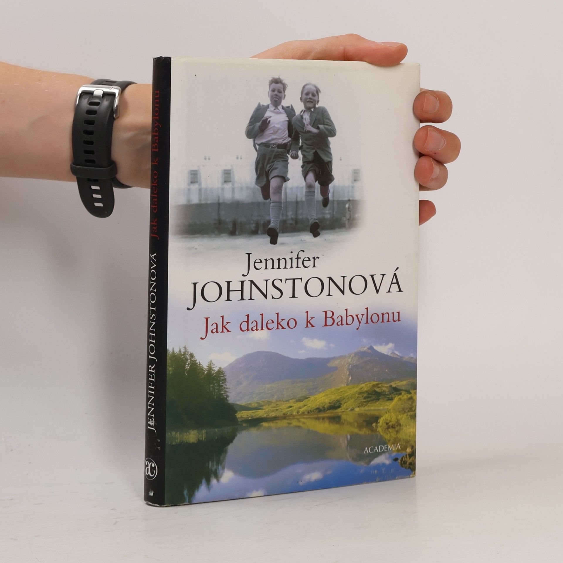 Jennifer Johnston Jak daleko k Babylonu