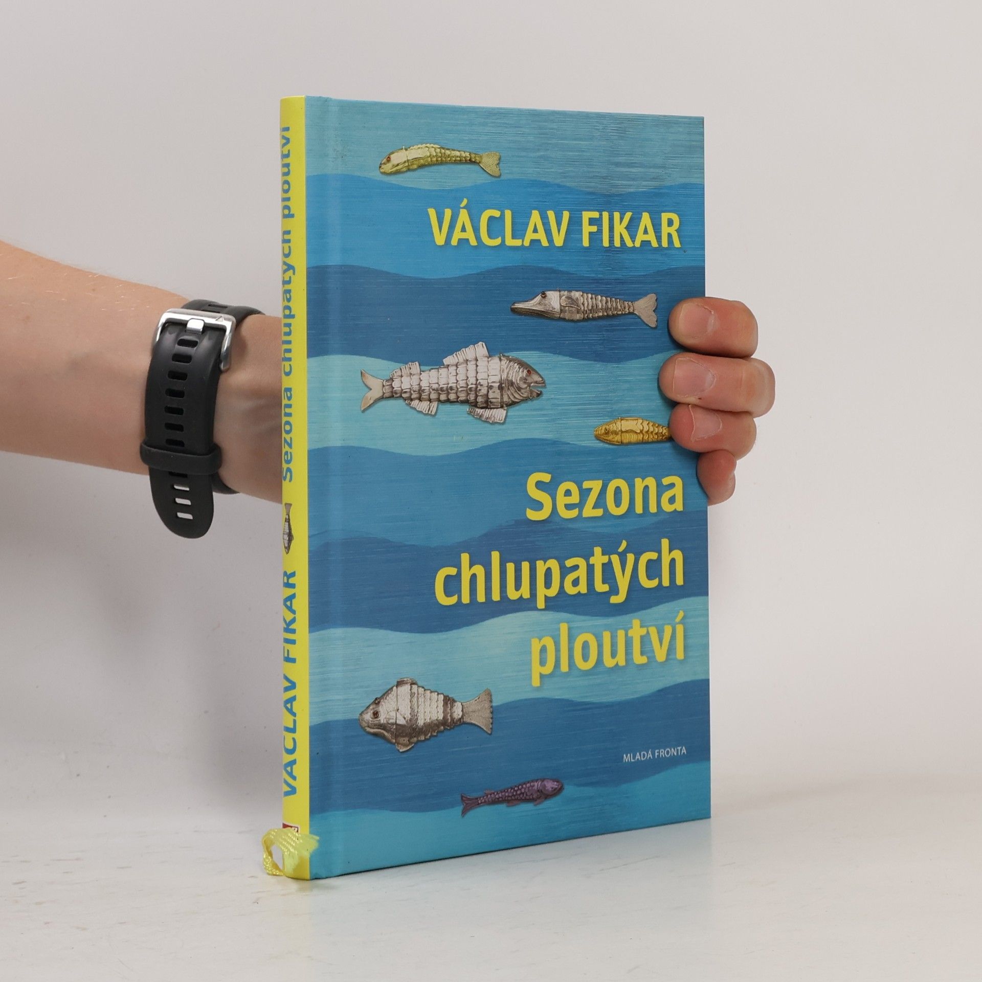 Světlana Slovanová Ruka plná zpěvů