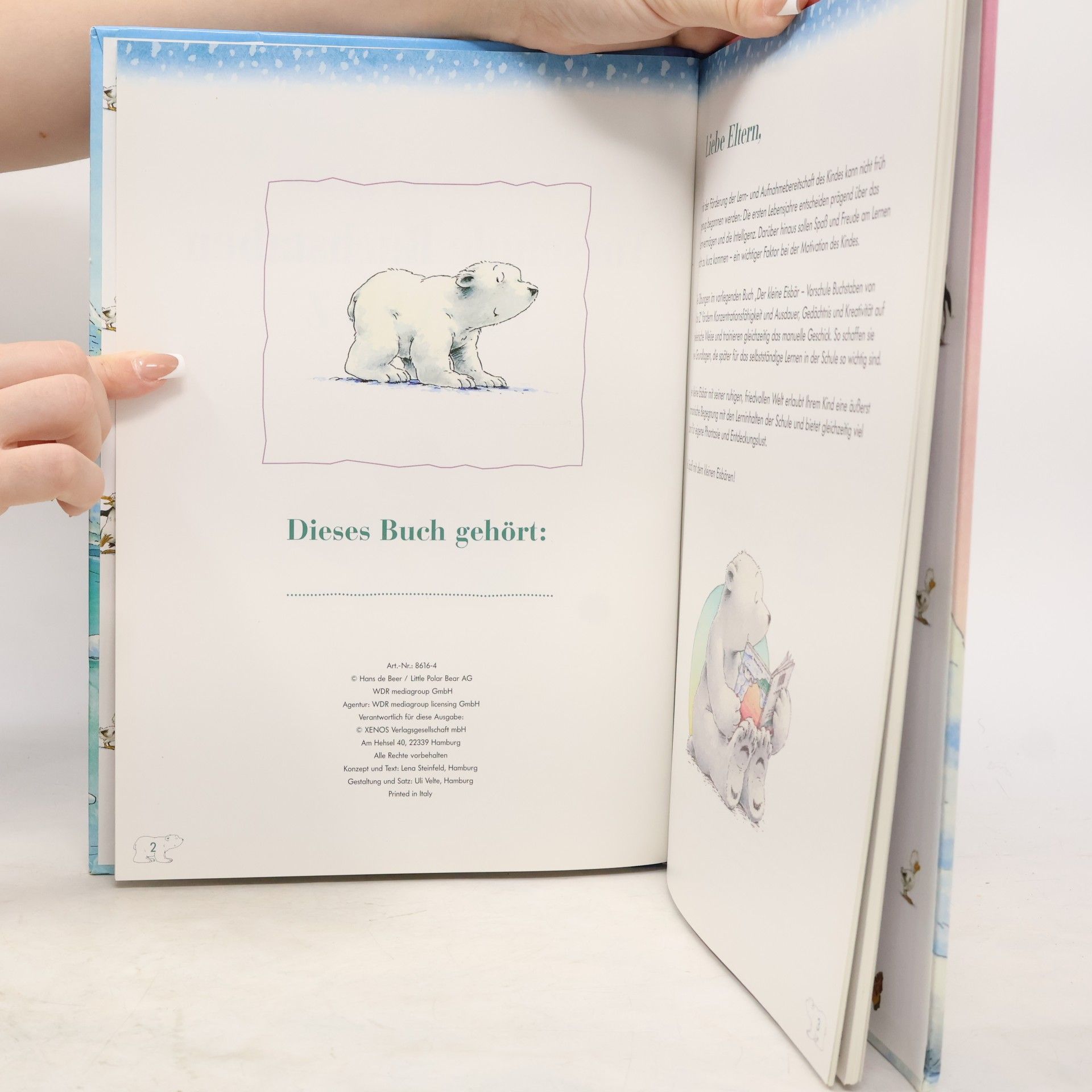 Autorenkollektiv Der kleine Eisbär. Vorschule Buchstaben von A bis Z