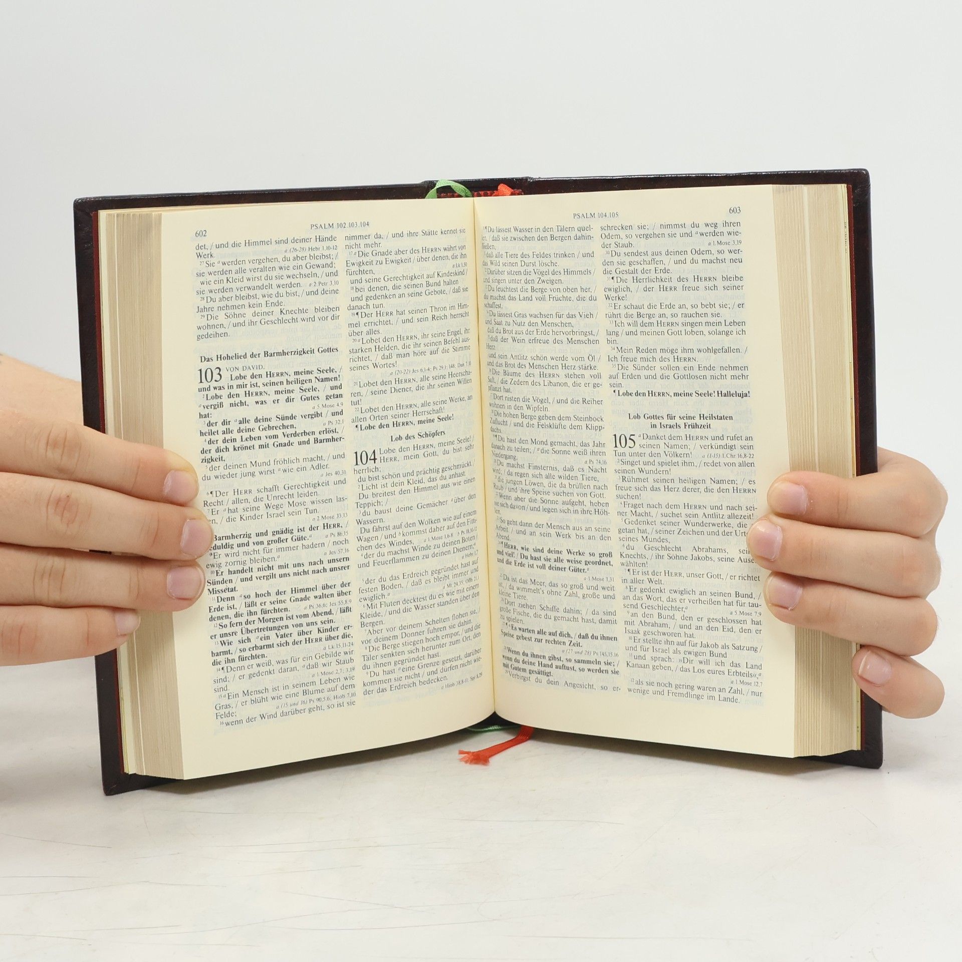 Martin Luther Die Bibel: Nach der Übersetzung Martin Luthers