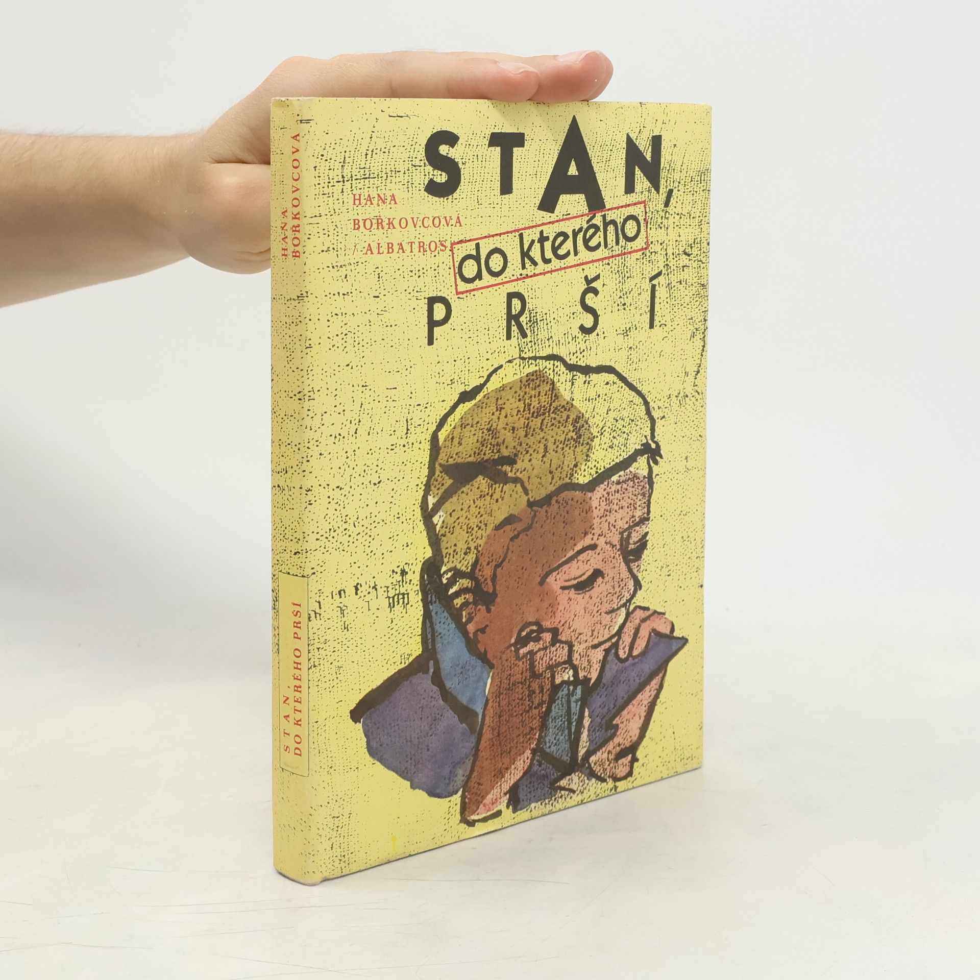 Hana Bořkovcová Stan, do kterého prší