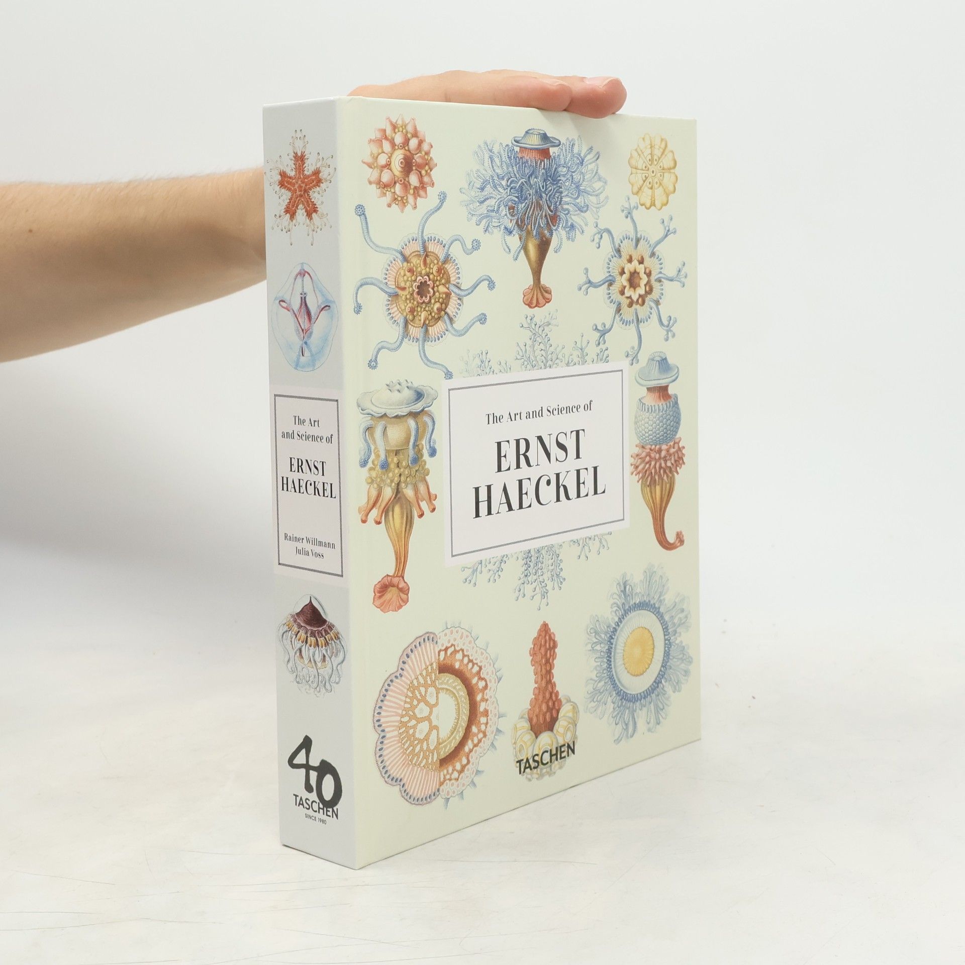 Rainer Willmann The art and science of Ernst Haeckel
