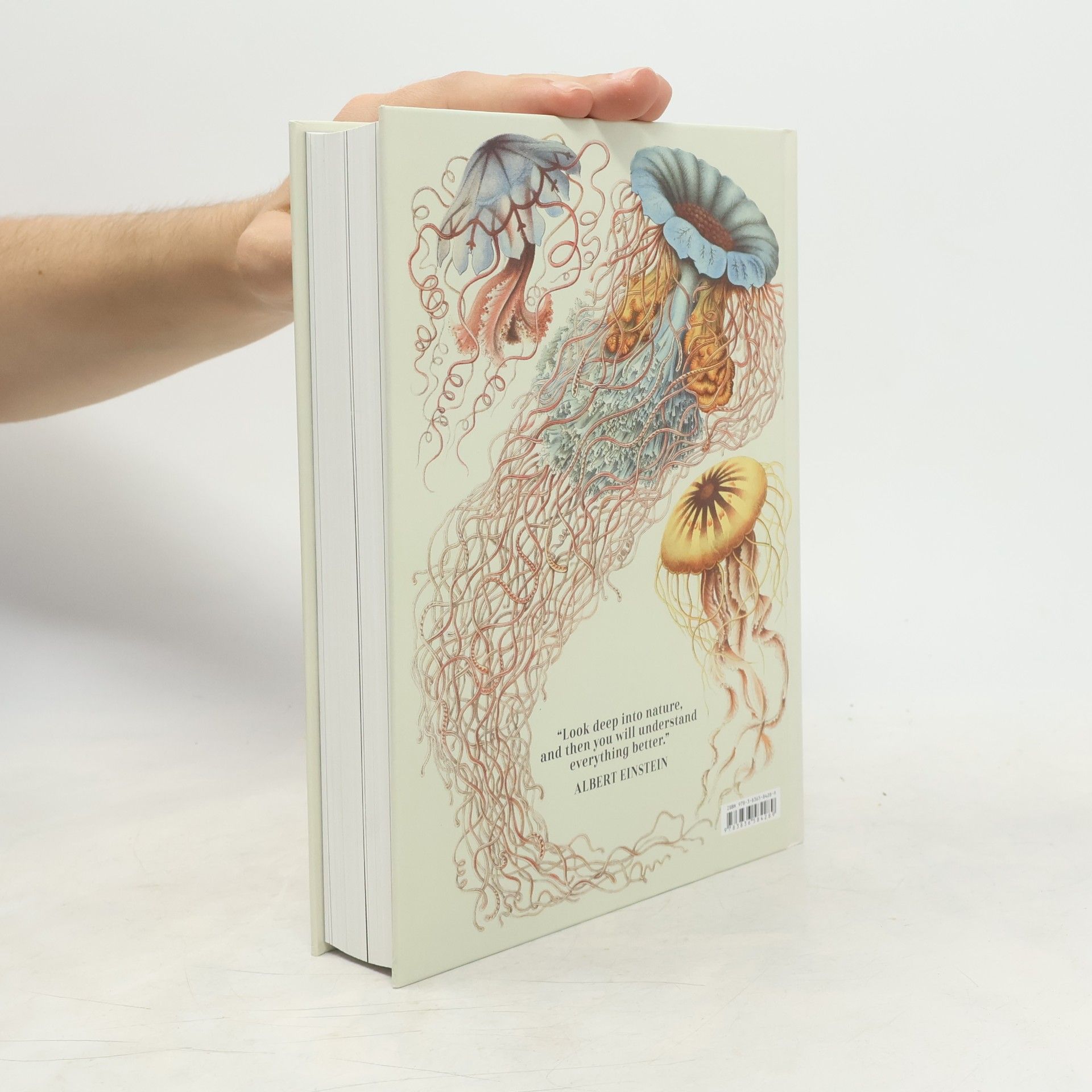 Ernst Haeckel The art and science of Ernst Haeckel