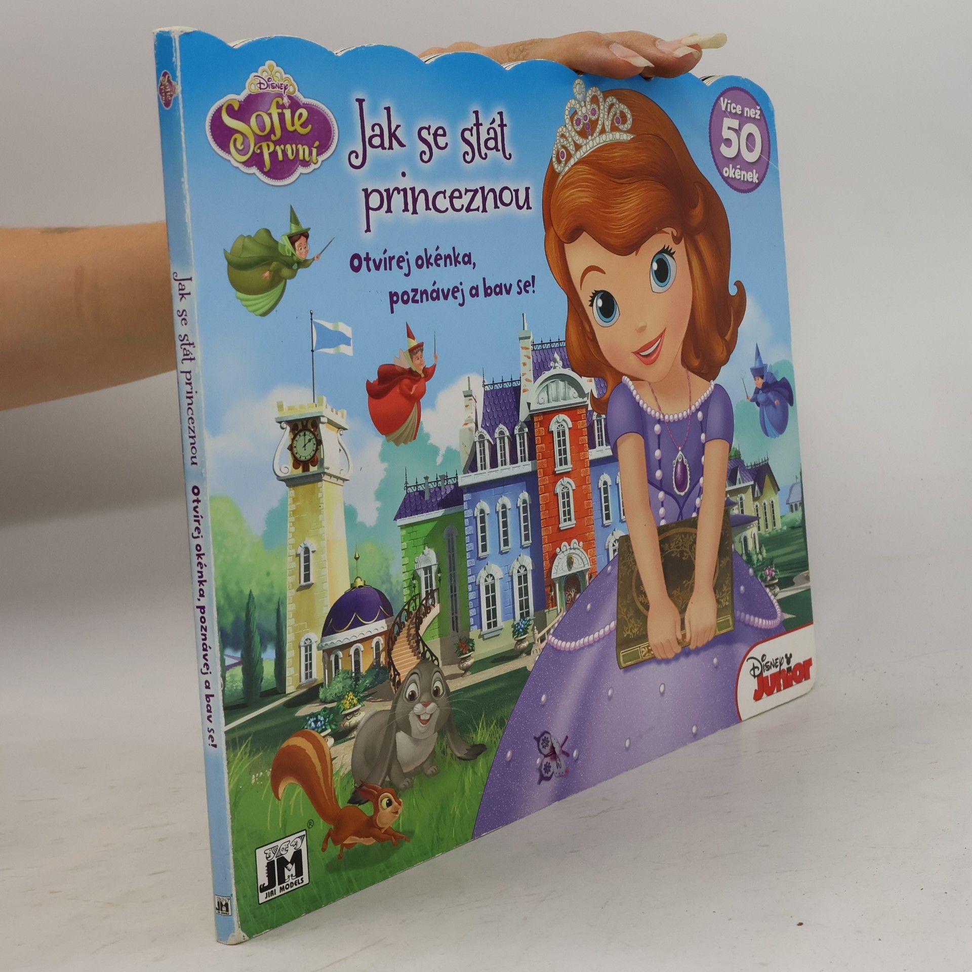 Collectif d'auteurs Jak se stát princeznou