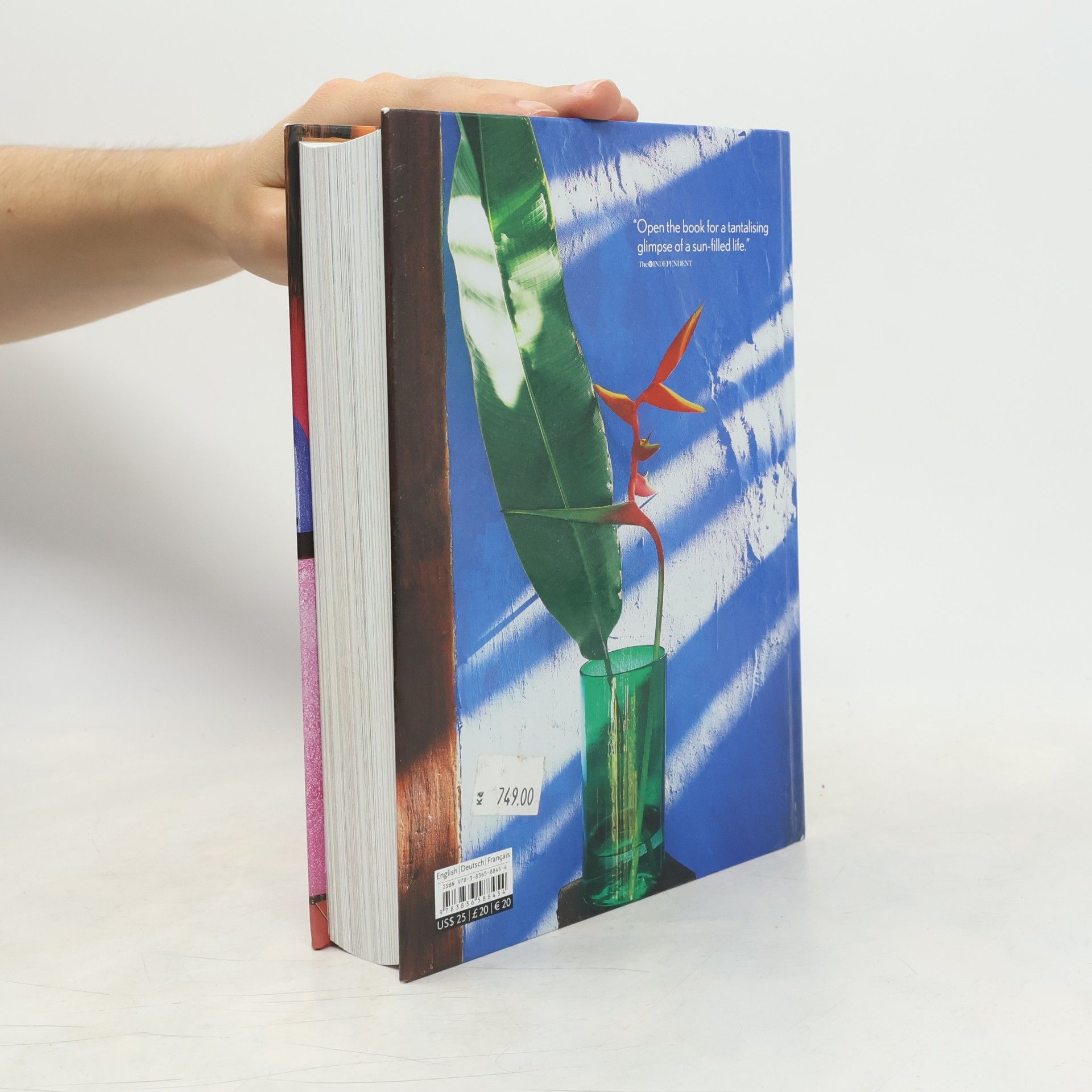 Barbara Stoeltie Living in Mexico. 40th Ed.
