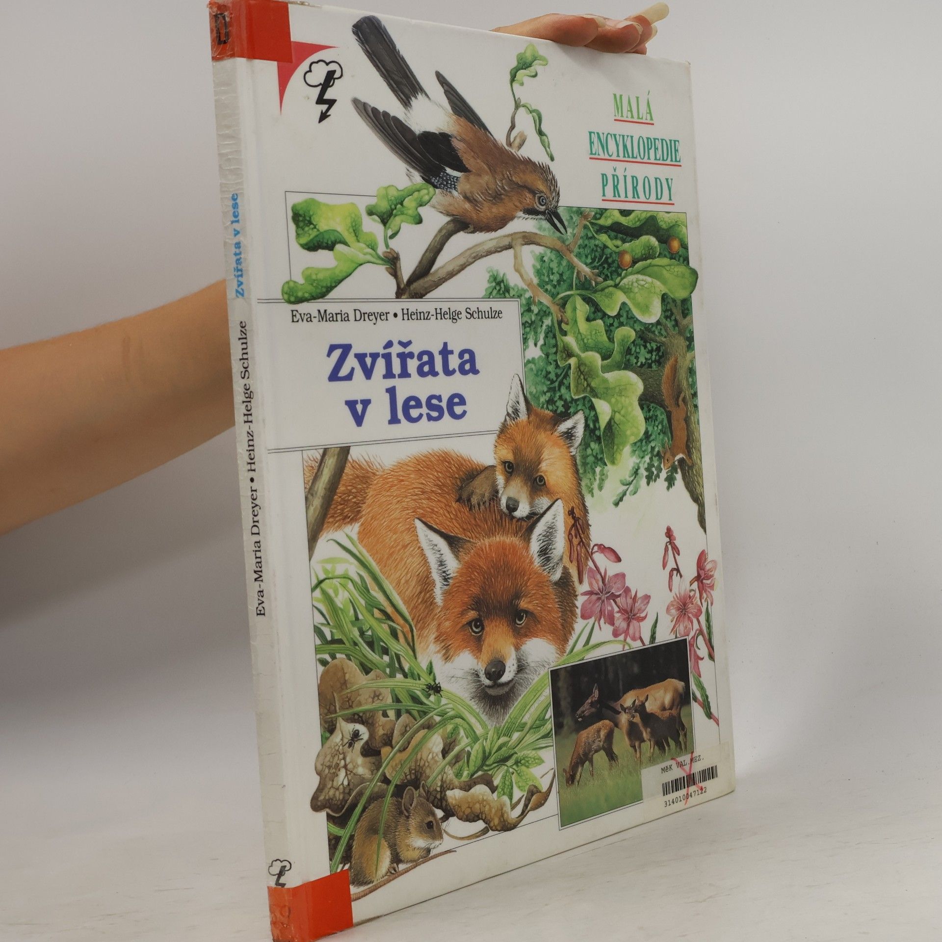 Eva-Maria Dreyer Zvířata v lese