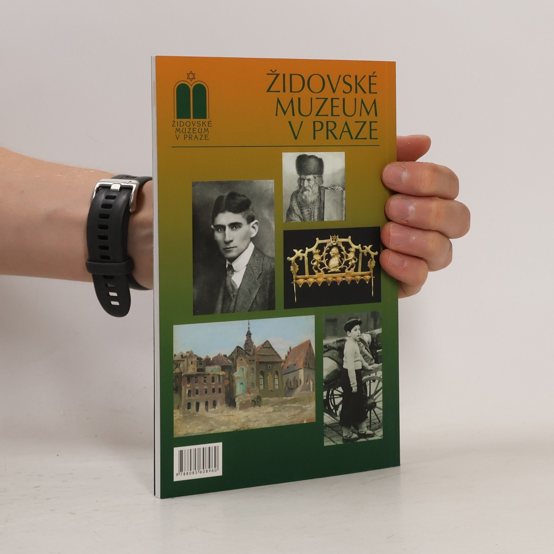 Kolektív autorov Historie Židů v Čechách a na Moravě II. Od emancipace do současnosti