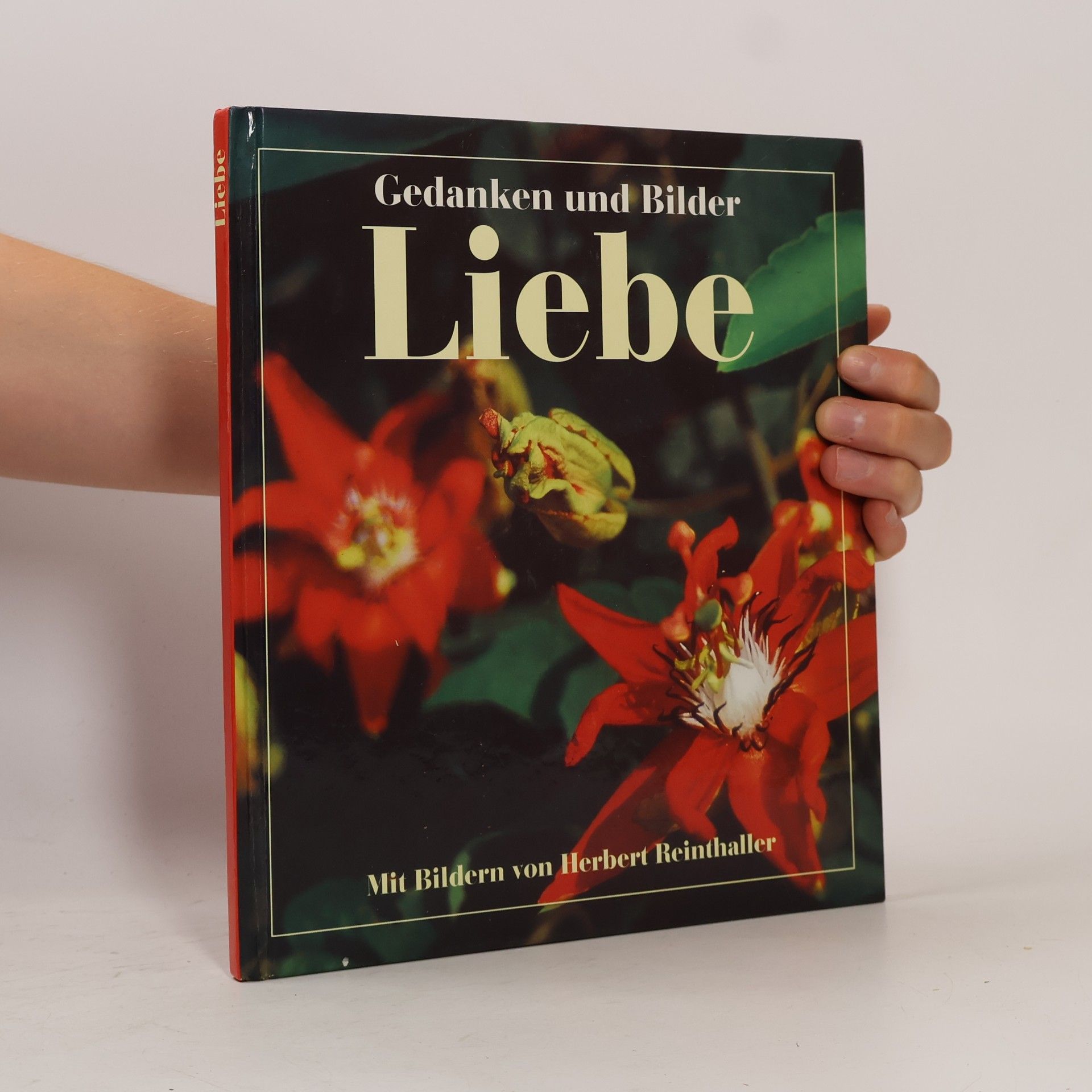 Autorenkollektiv Liebe