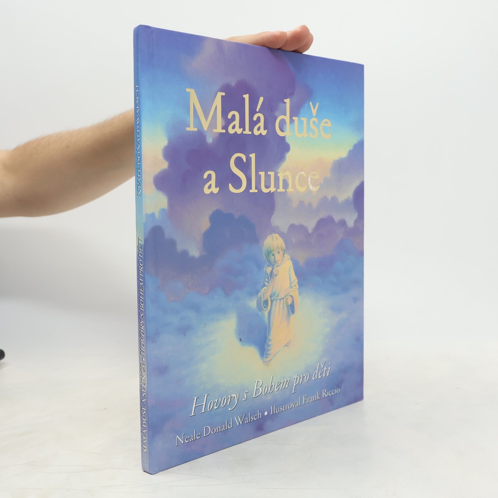 Neale Donald Walsch Malá duše a Slunce: Hovory s Bohem pro děti