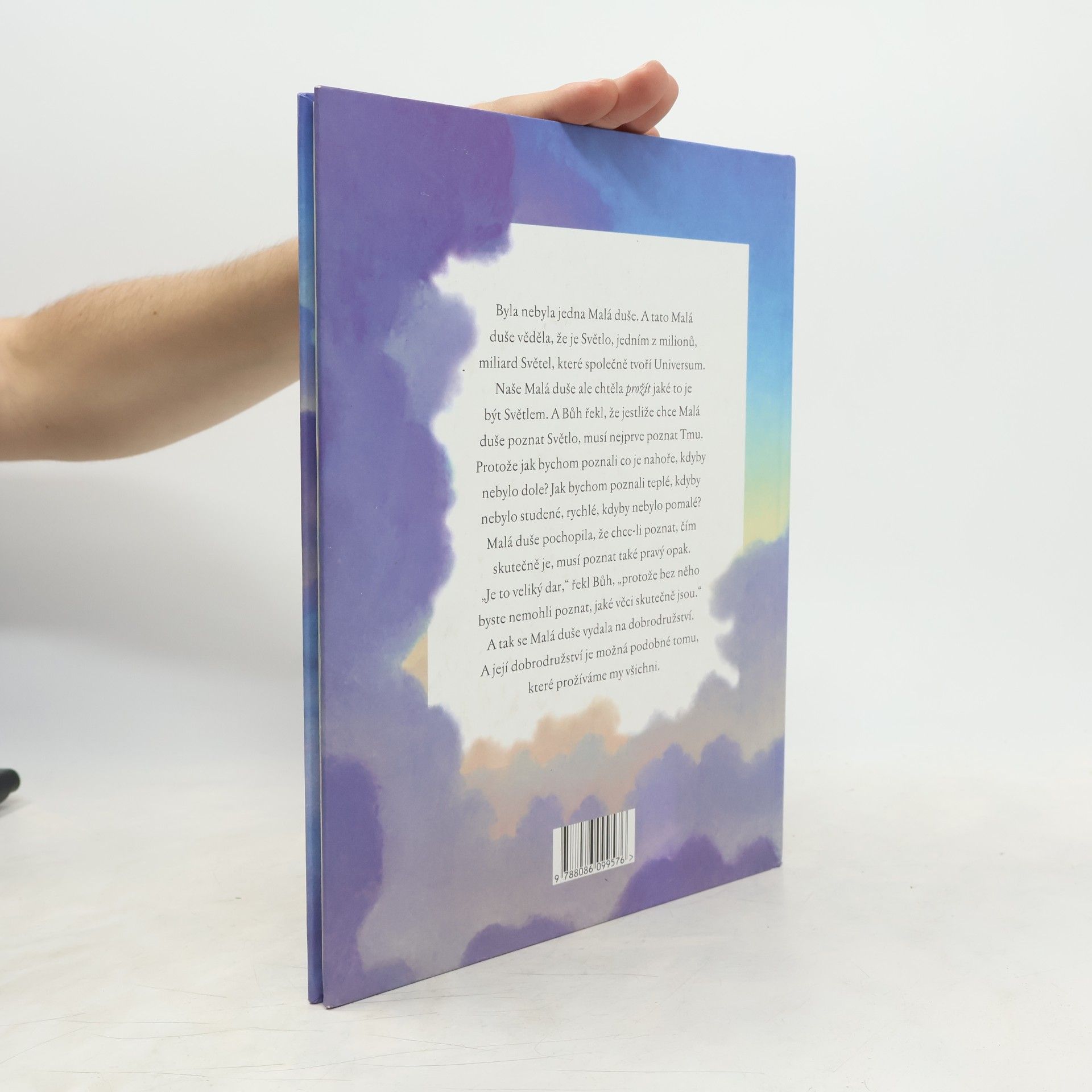 Neale Donald Walsch Malá duše a Slunce: Hovory s Bohem pro děti