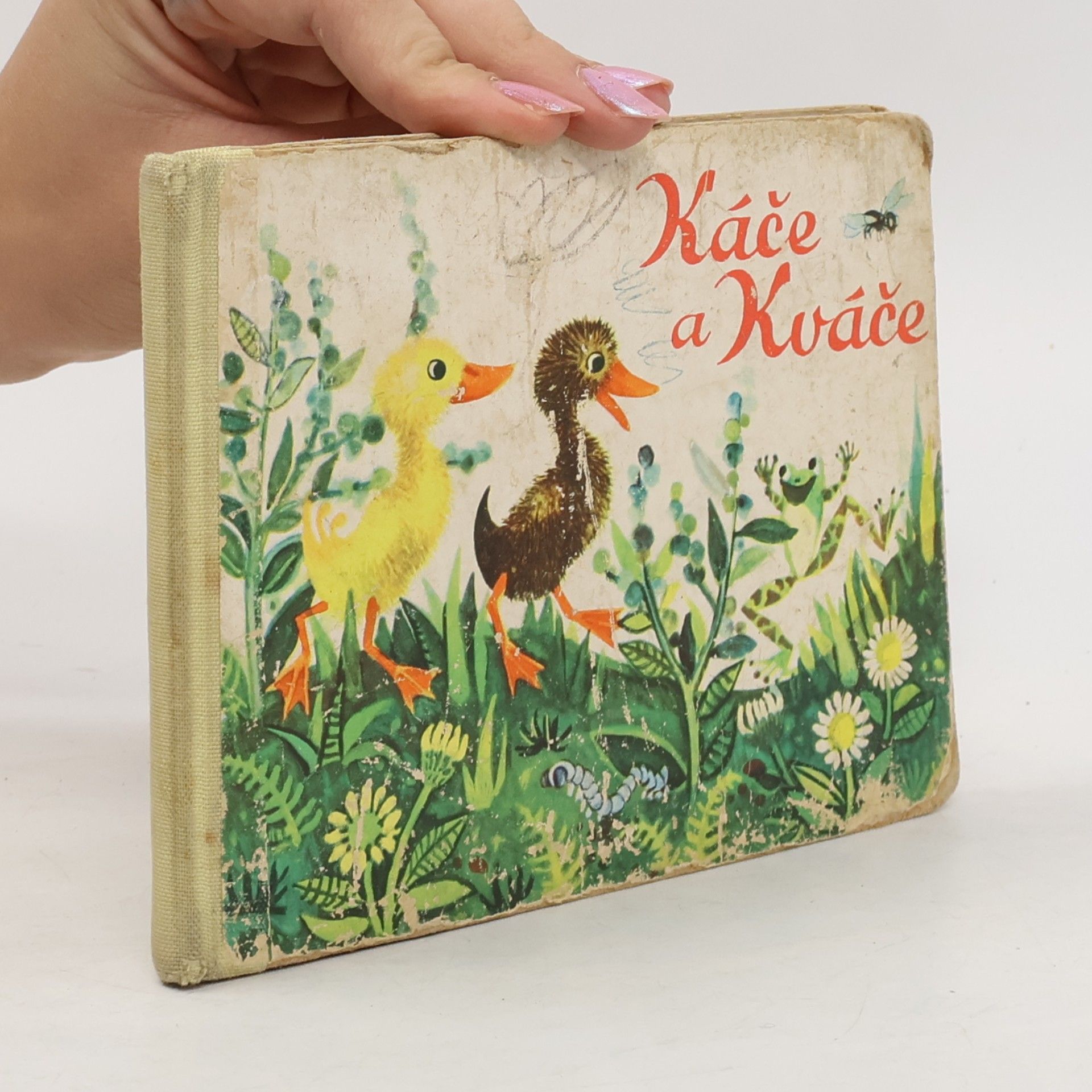 Various authors Káče a Kváče