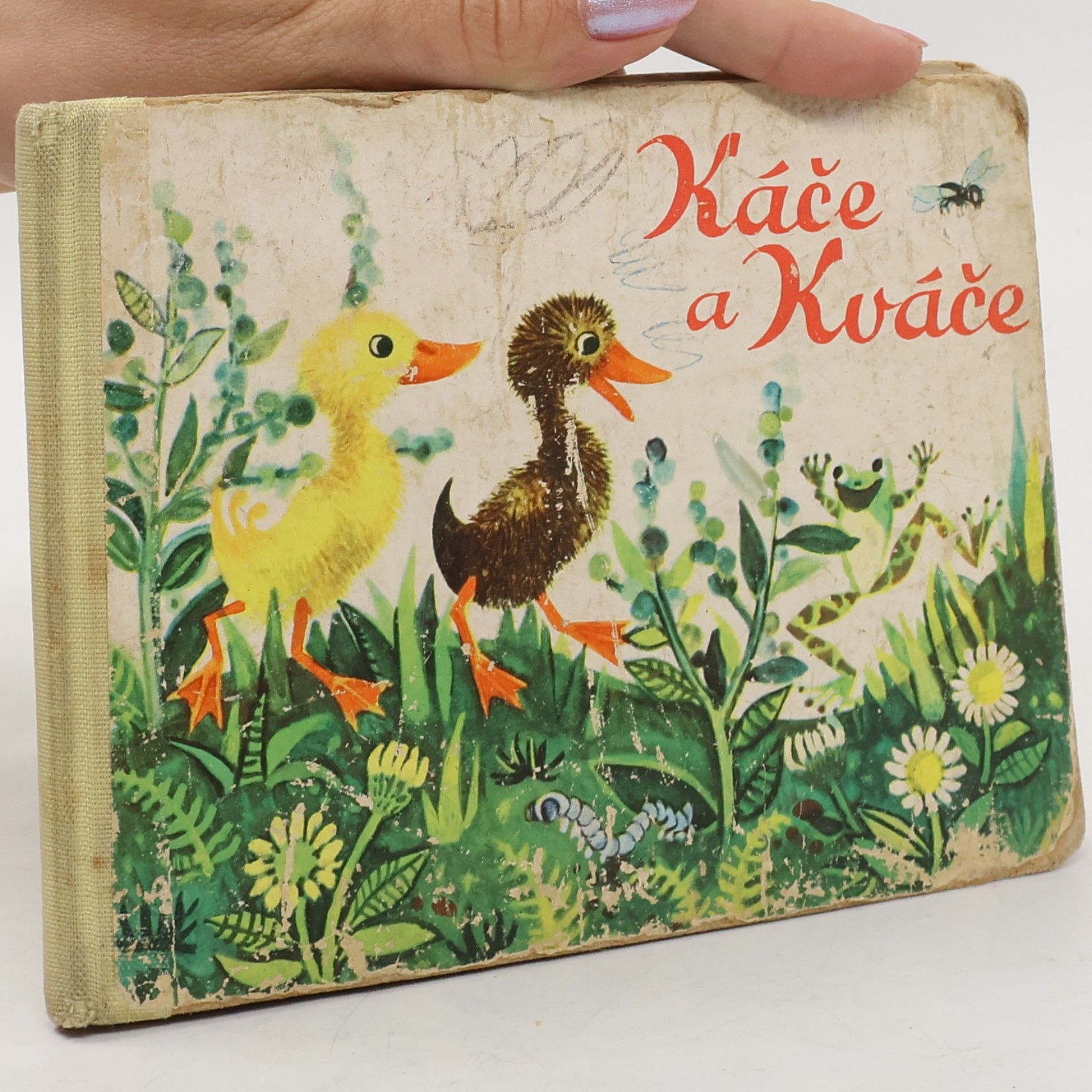 Kolektiv autorů Káče a Kváče