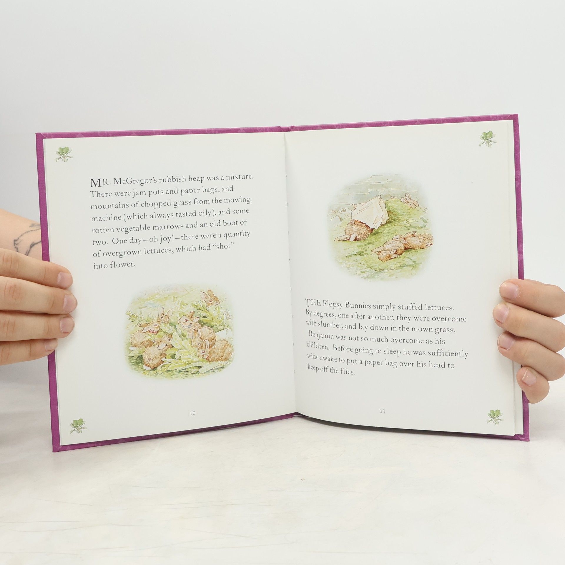 Beatrix Potter The Tale of the Flopsy Bunnies