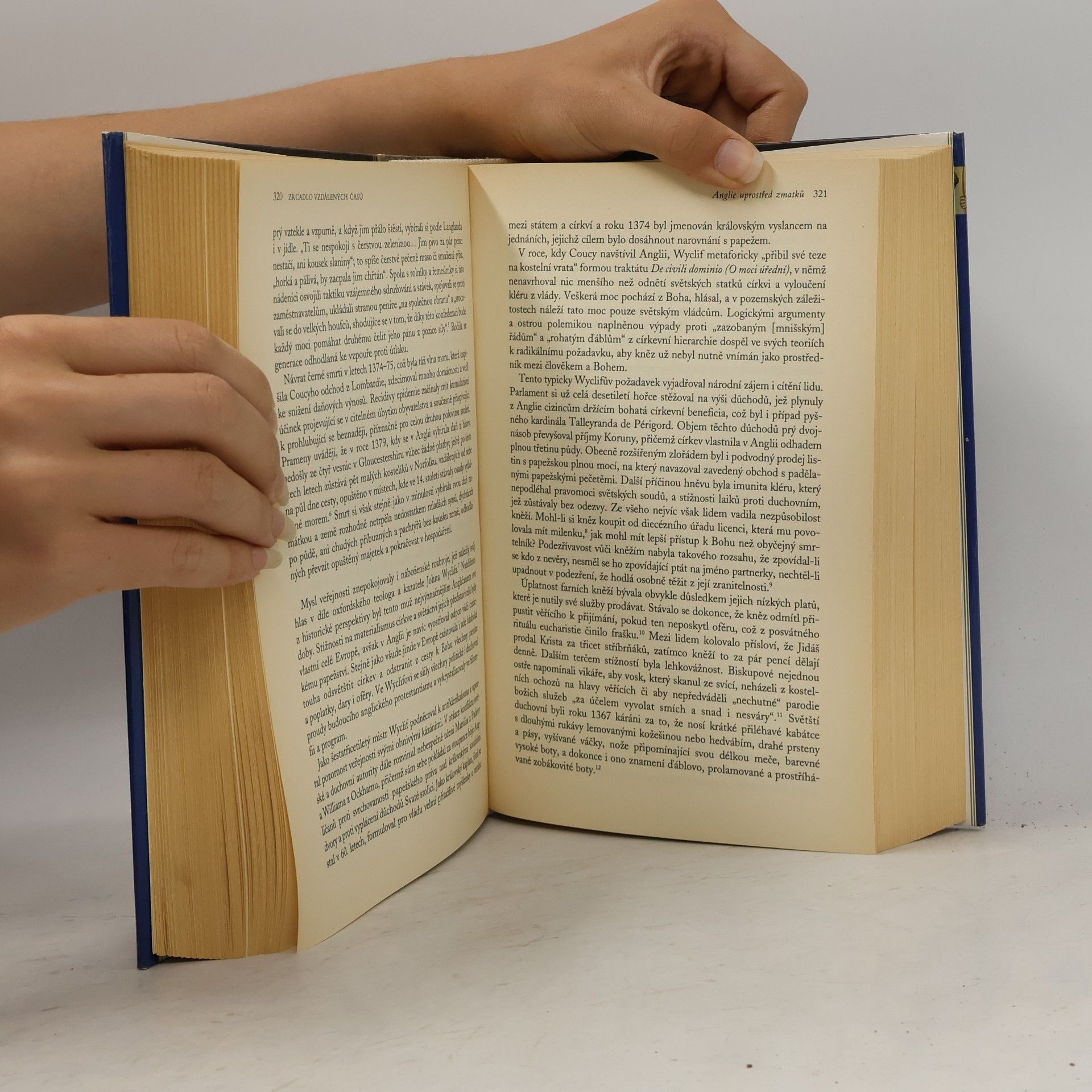 Barbara W. Tuchman Zrcadlo vzdálených časů. 14. století - století pohrom