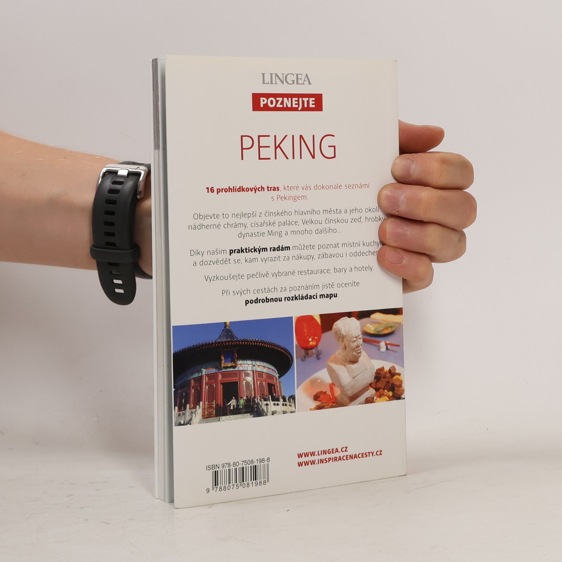 Collectif d'auteurs Peking
