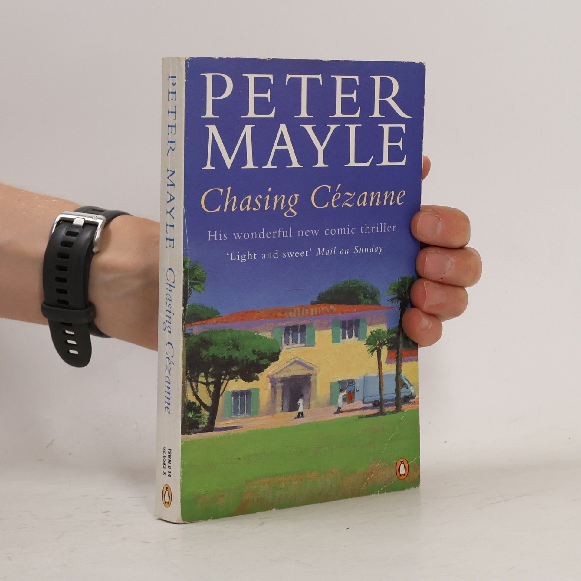 Peter Mayle Chasing Cézanne.