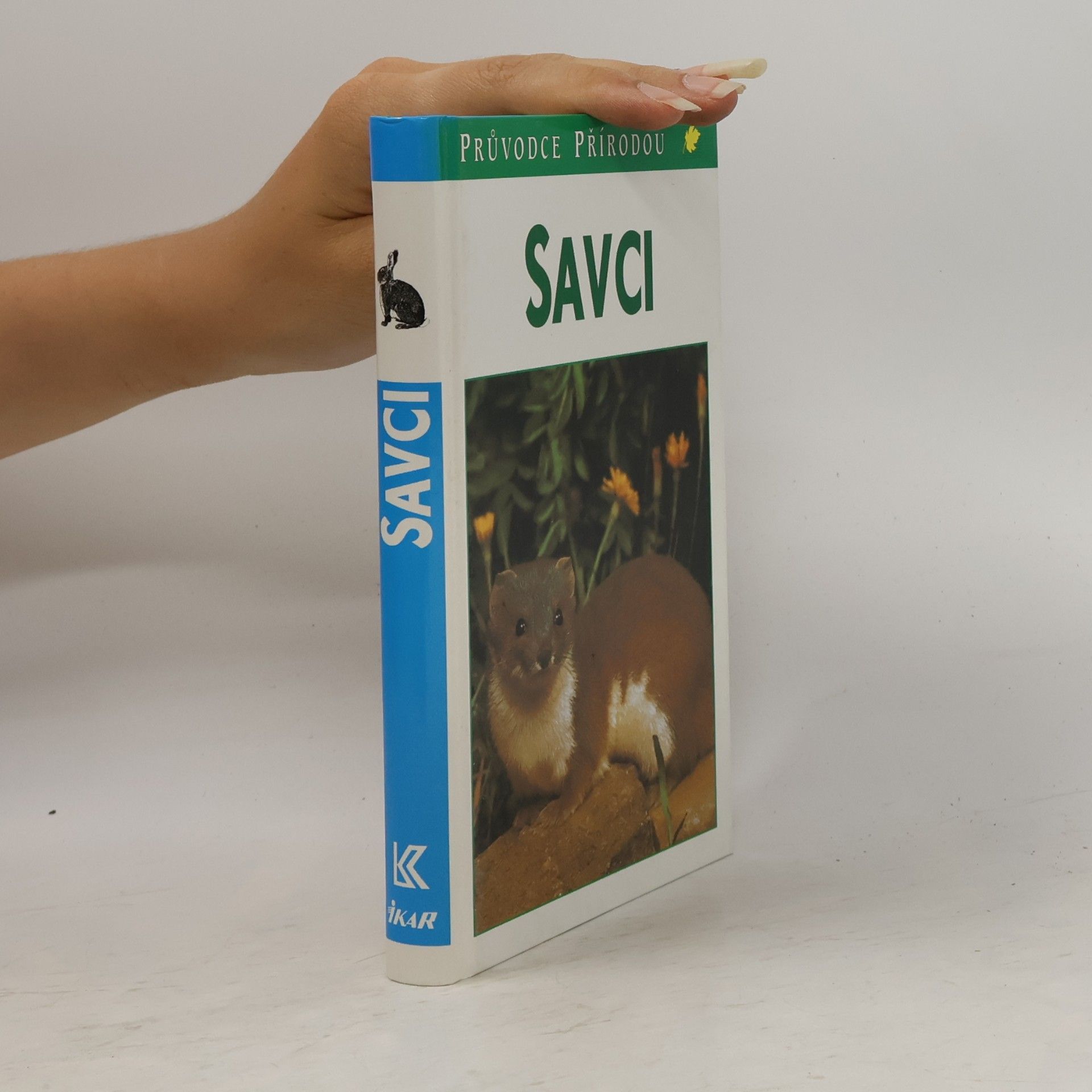 Savci