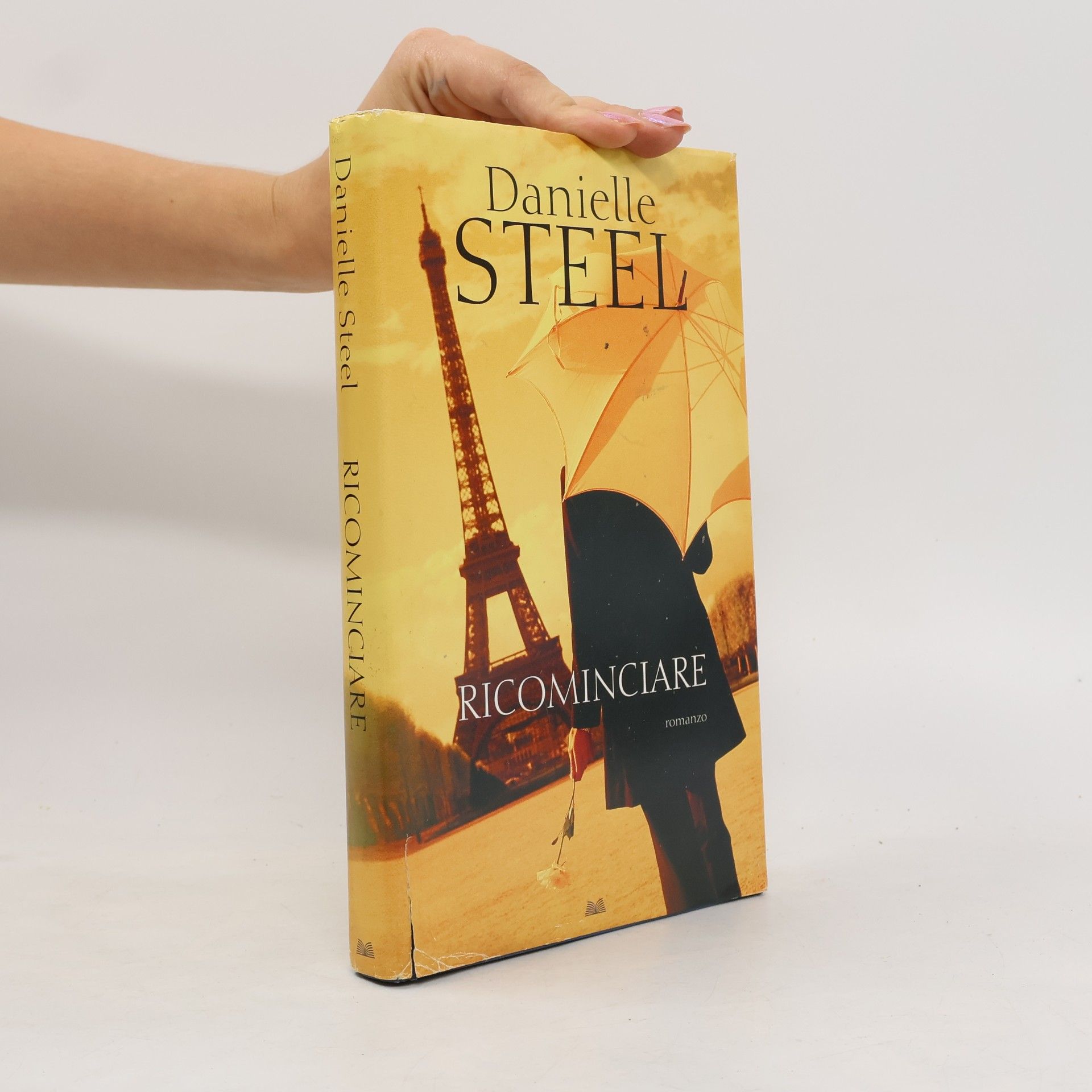 Danielle Steel Ricominciare