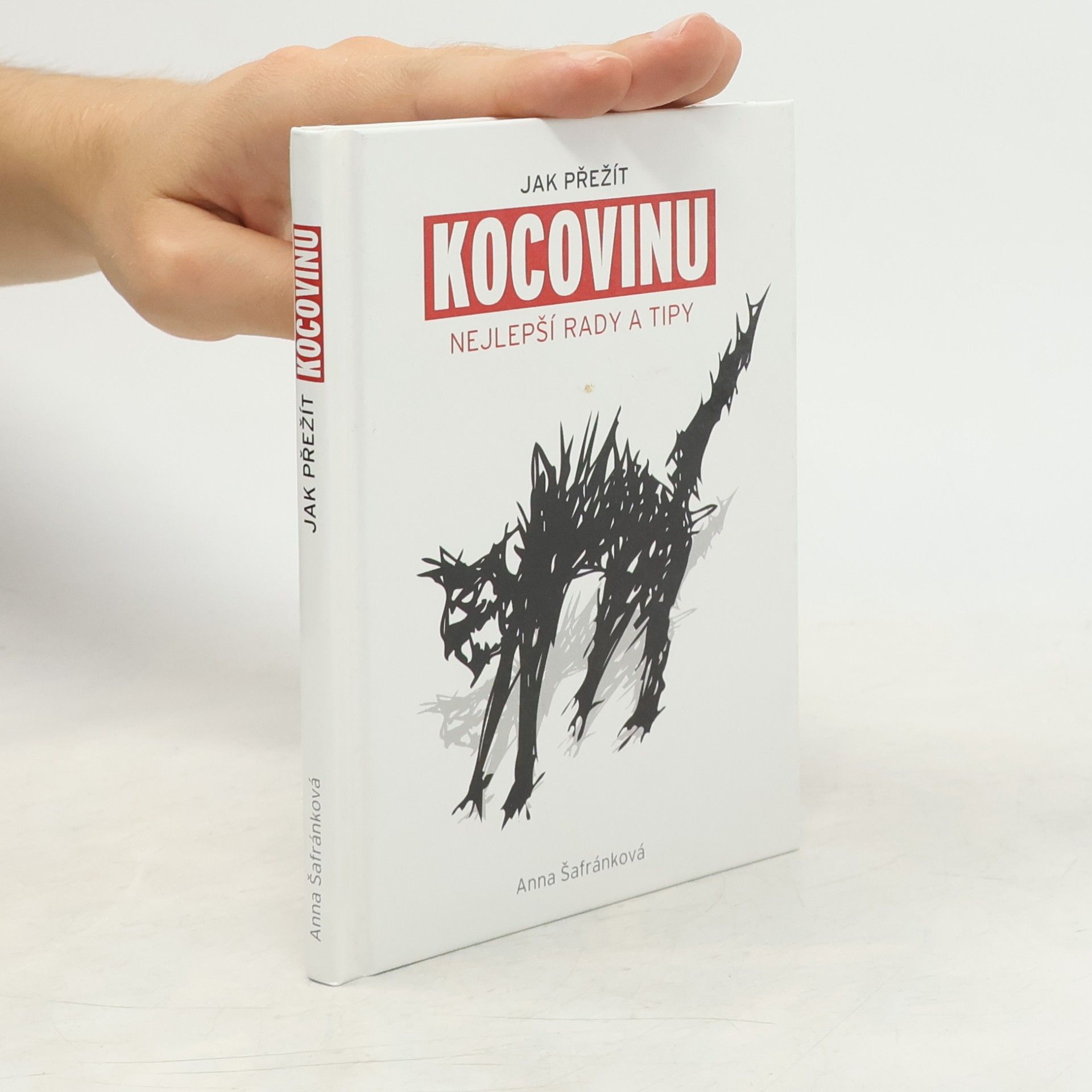 Anna Šafránková Jak přežít kocovinu: Nejlepší rady a tipy
