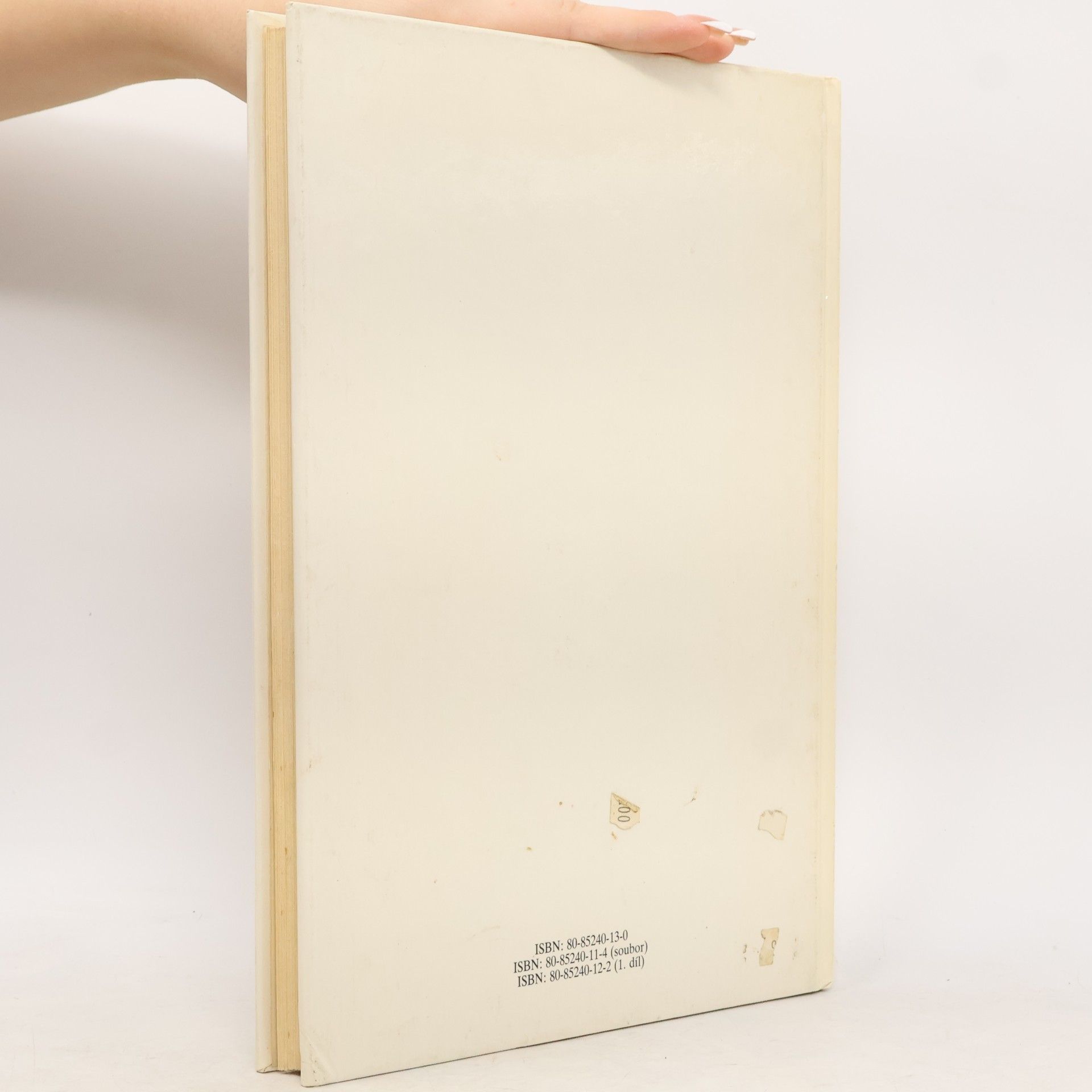 Alena Boráková Dětská bible. Nový zákon