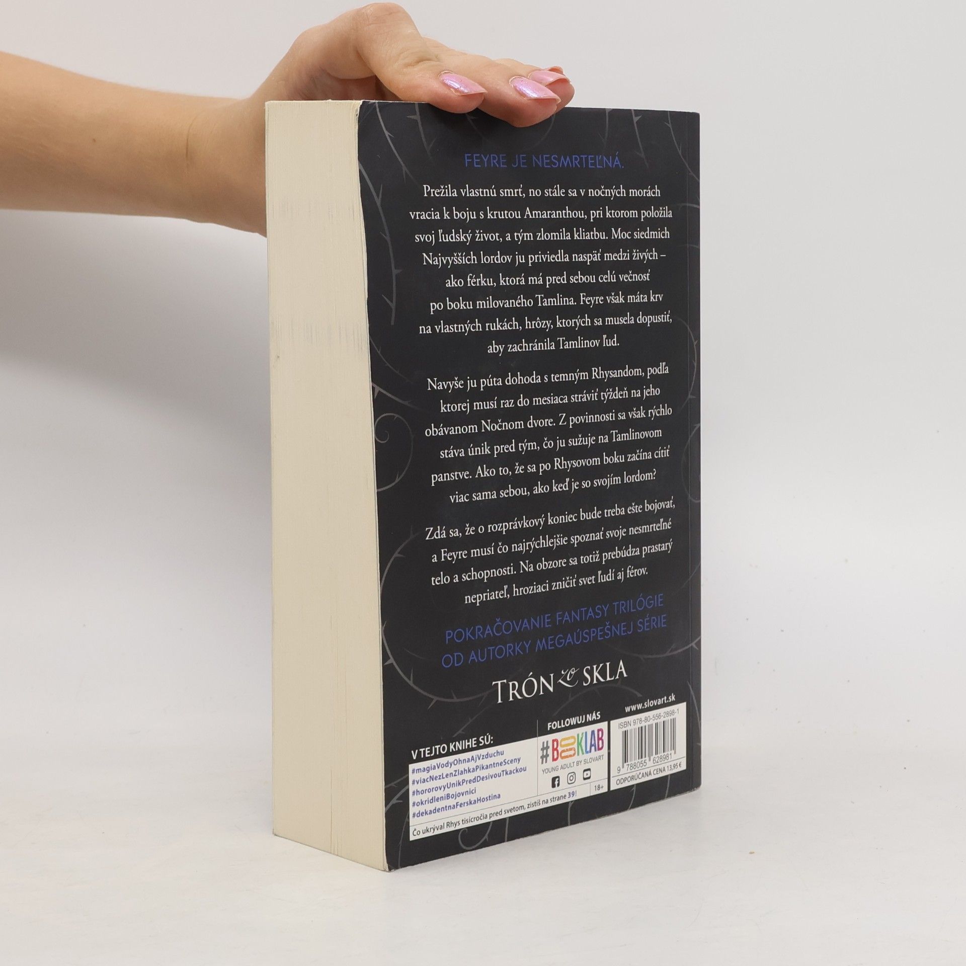 Sarah J. Maas Na dvore z hmly a besu