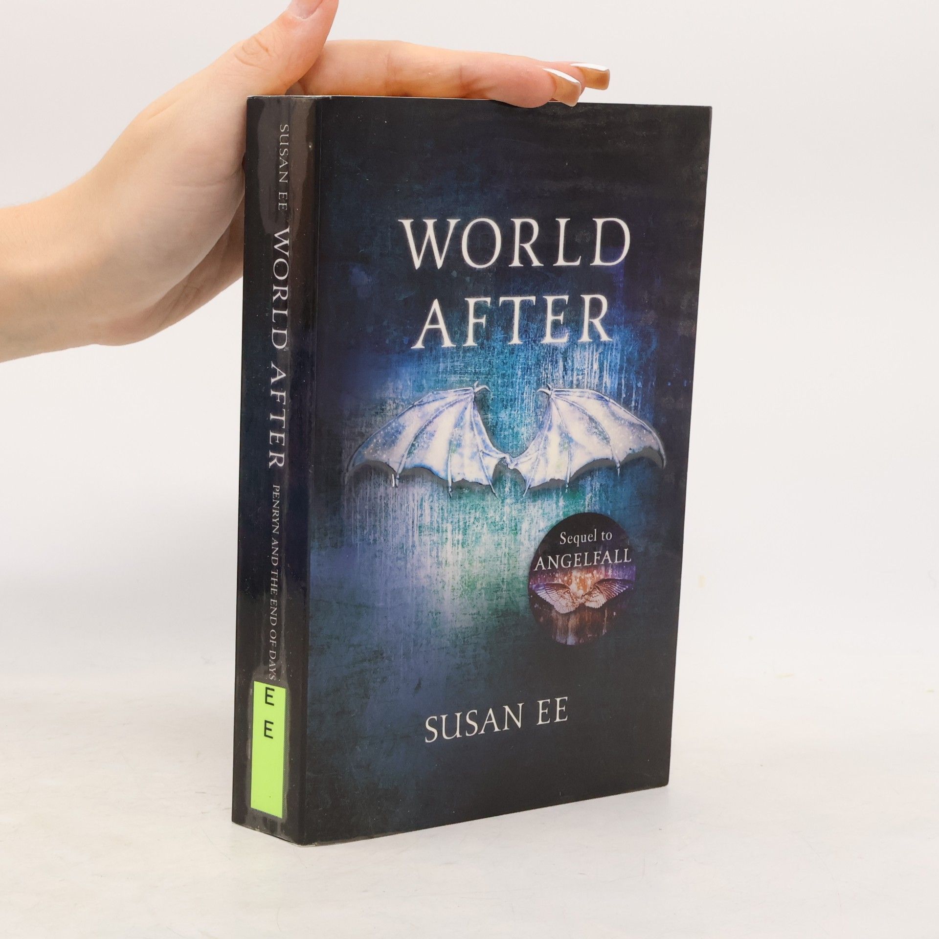 Susan Ee World After