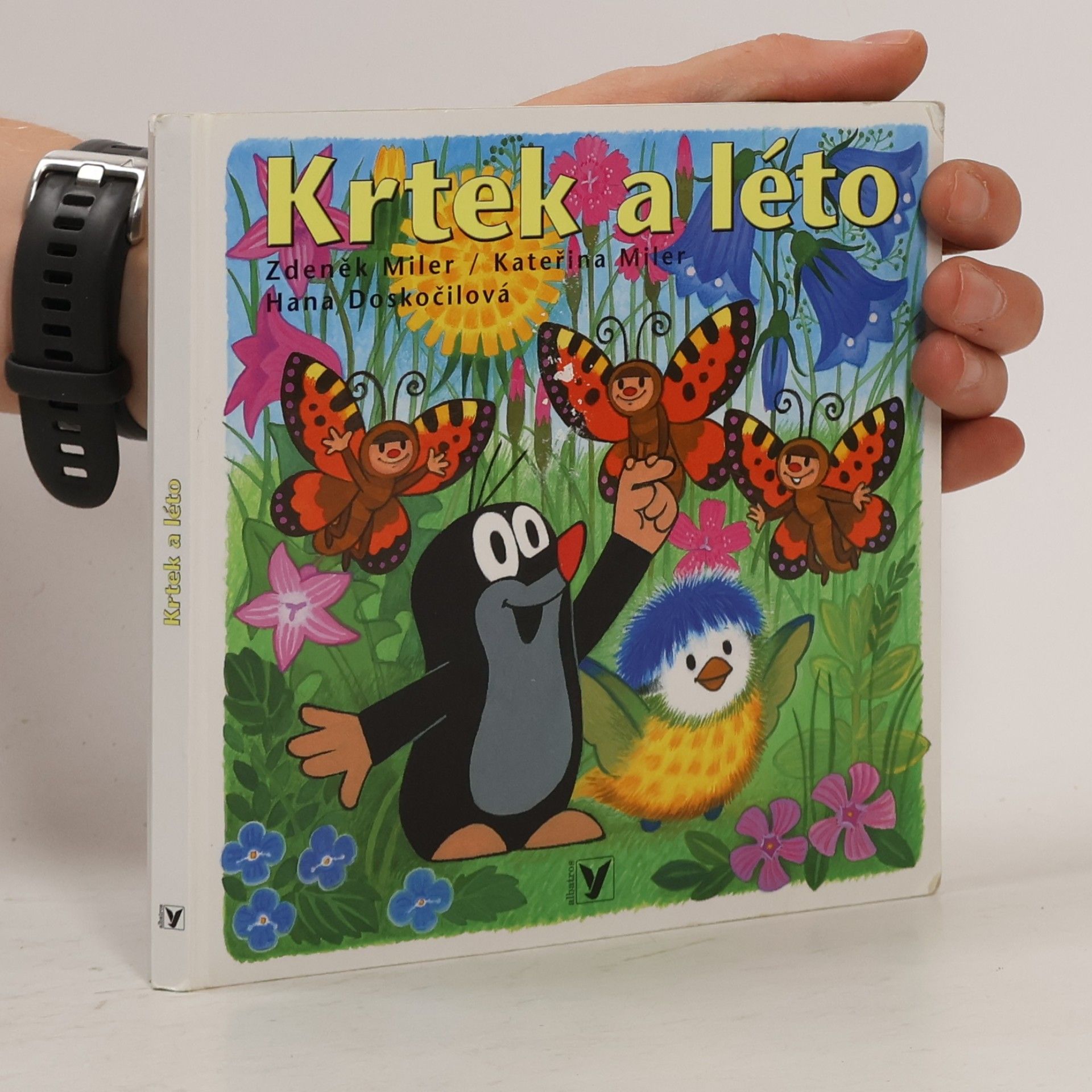 Hana Doskočilová Krtek a léto