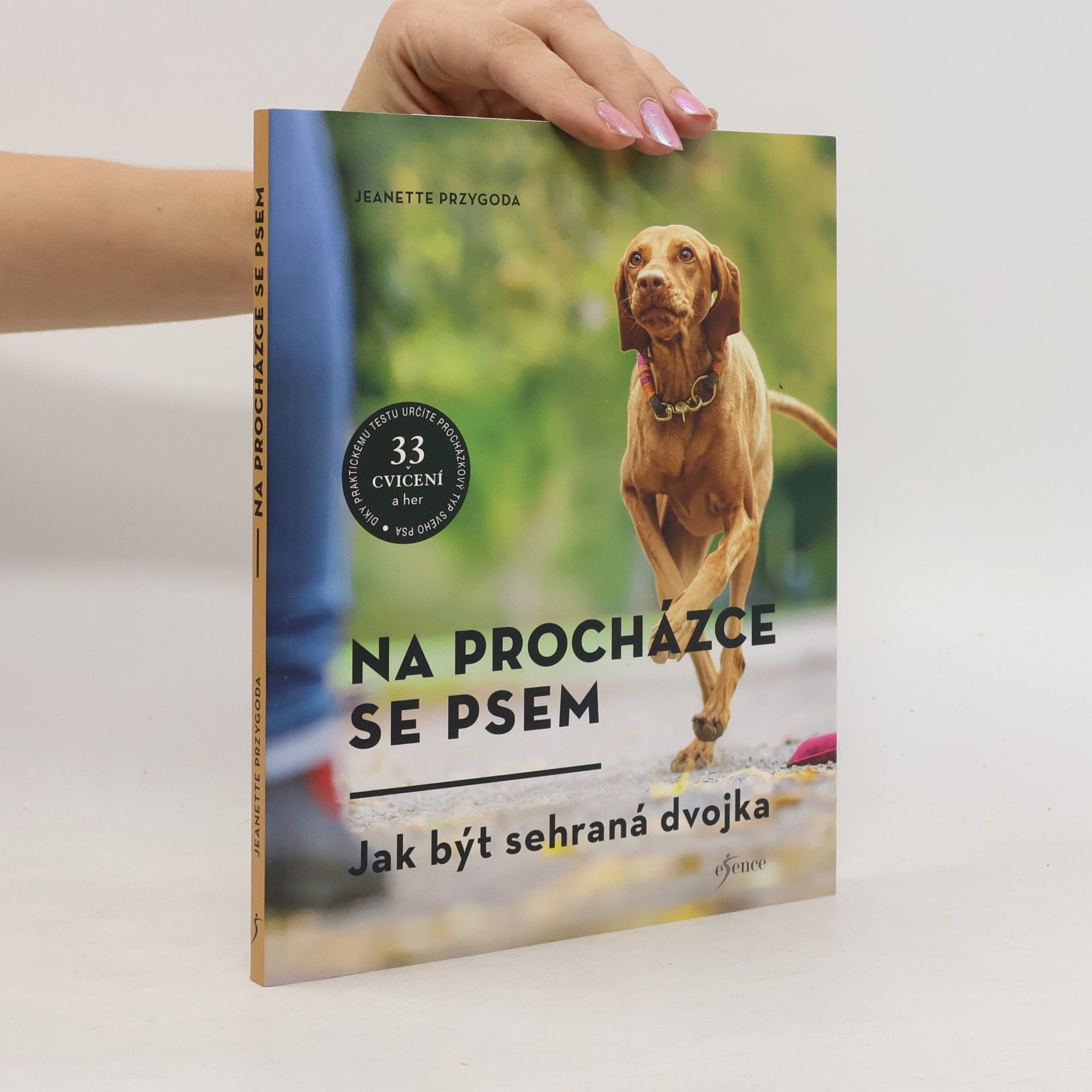 Na procházce se psem. Zábava pro každý typ psa