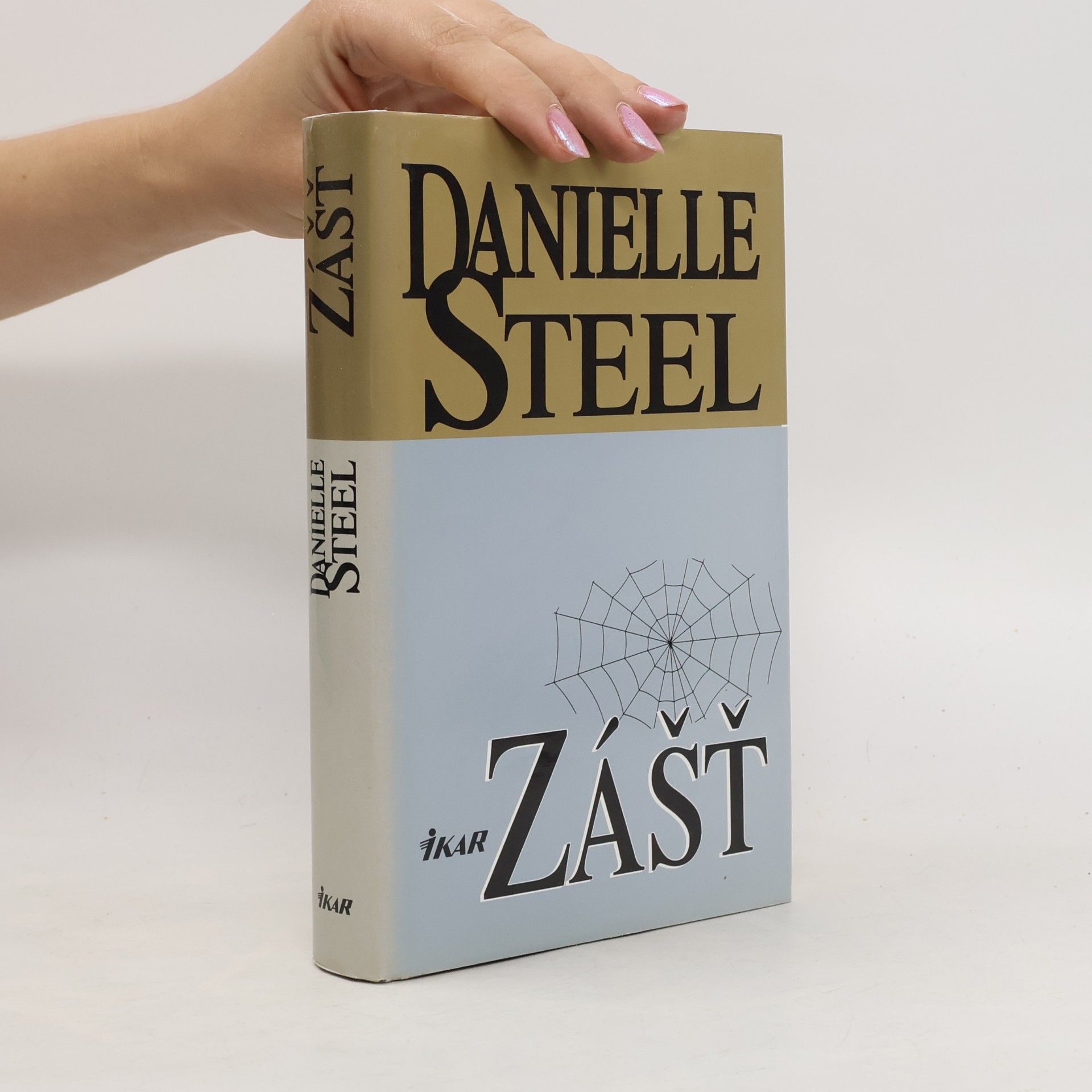 Danielle Steel Zášť