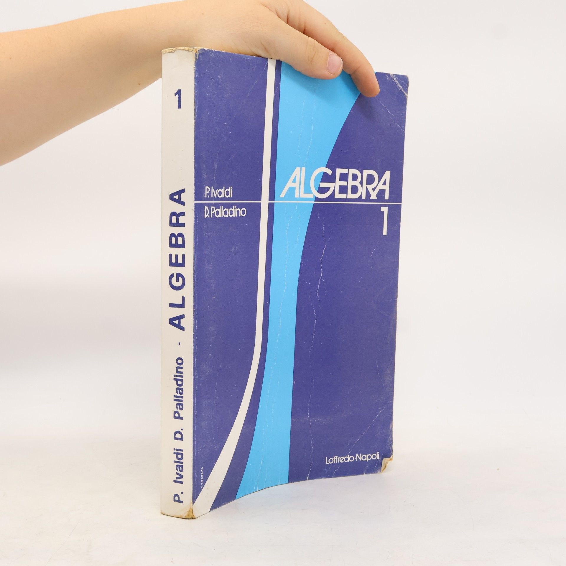 P. Ivaldi Algebra 1