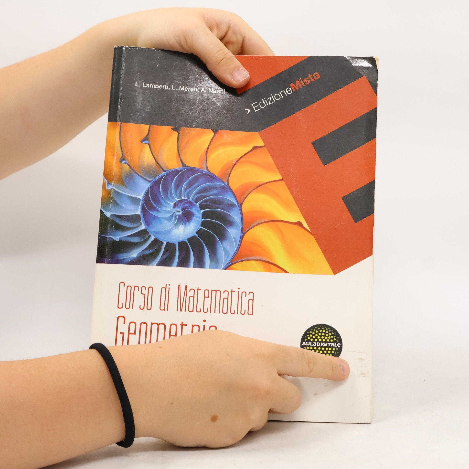 L. Lamberti Corso di Matematica Geometria