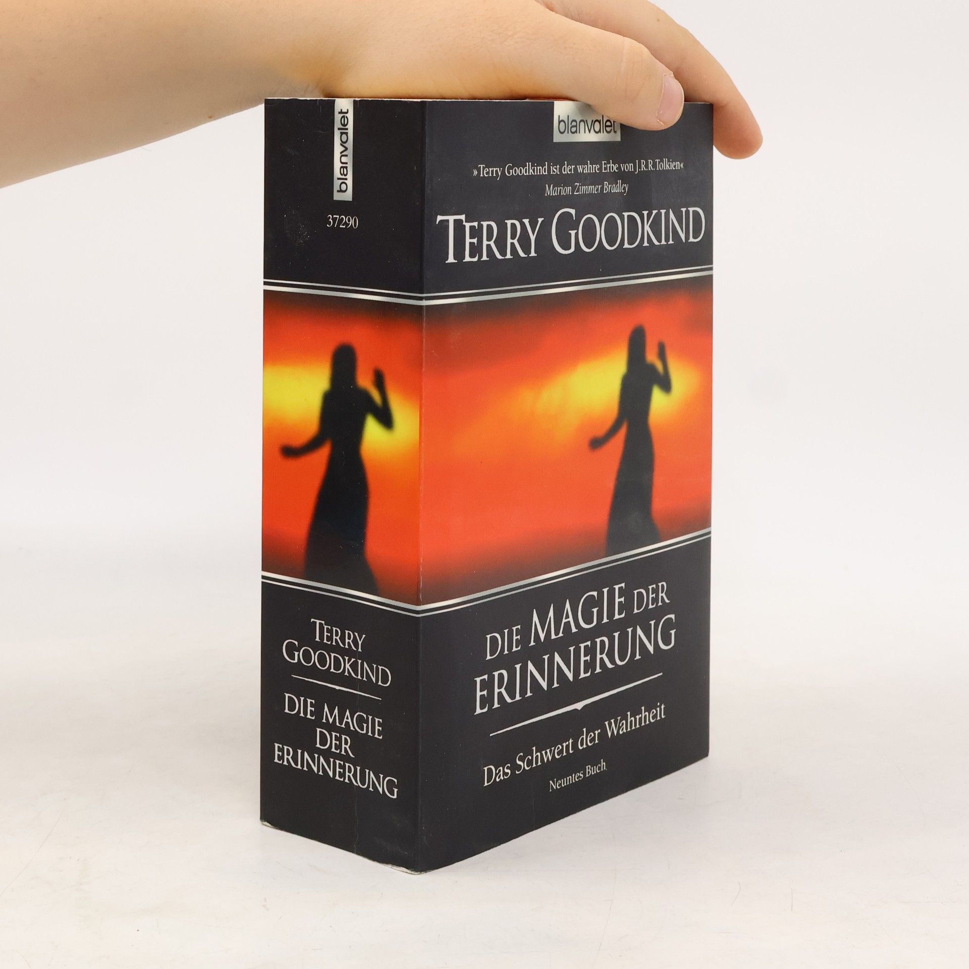 Terry Goodkind Die Magie der Erinnerung