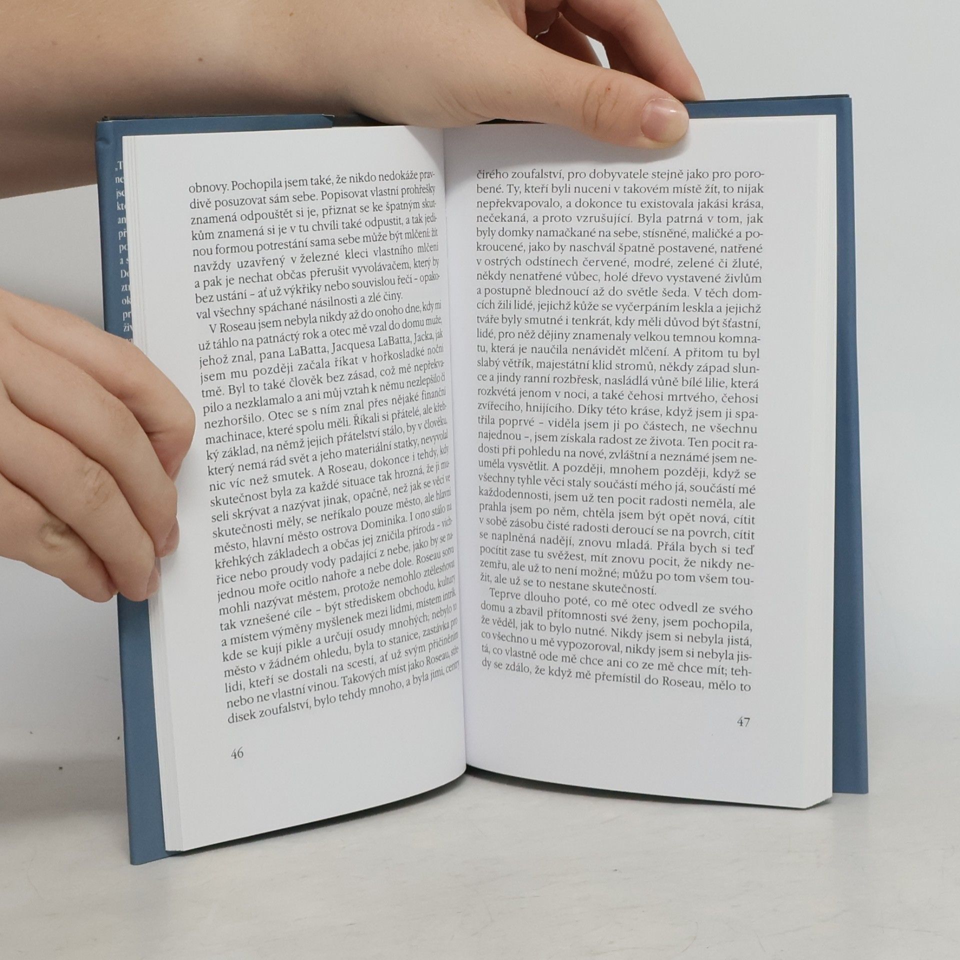 Jamaica Kincaid Vlastní životopis mé matky