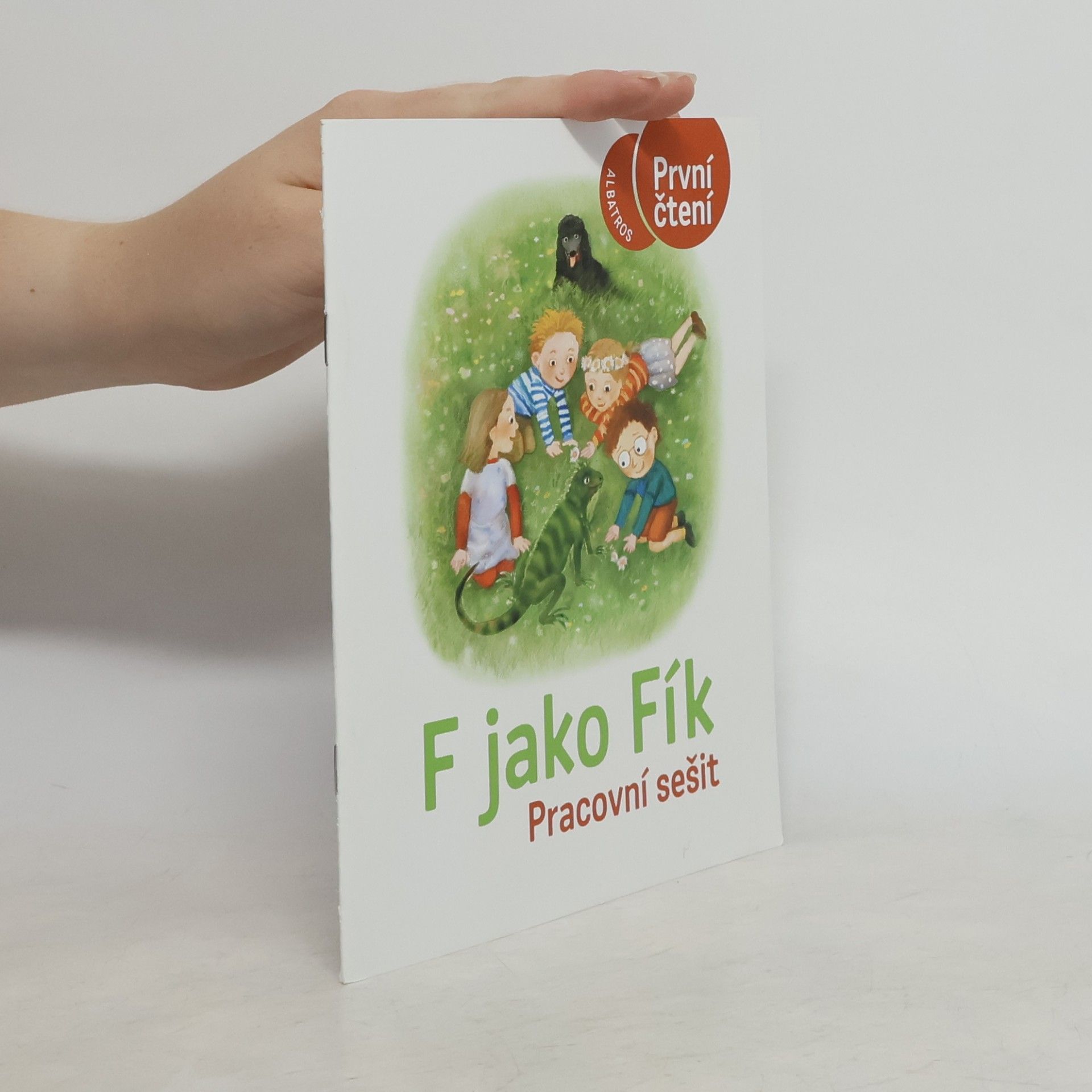 Ivona Březinová F jako Fík