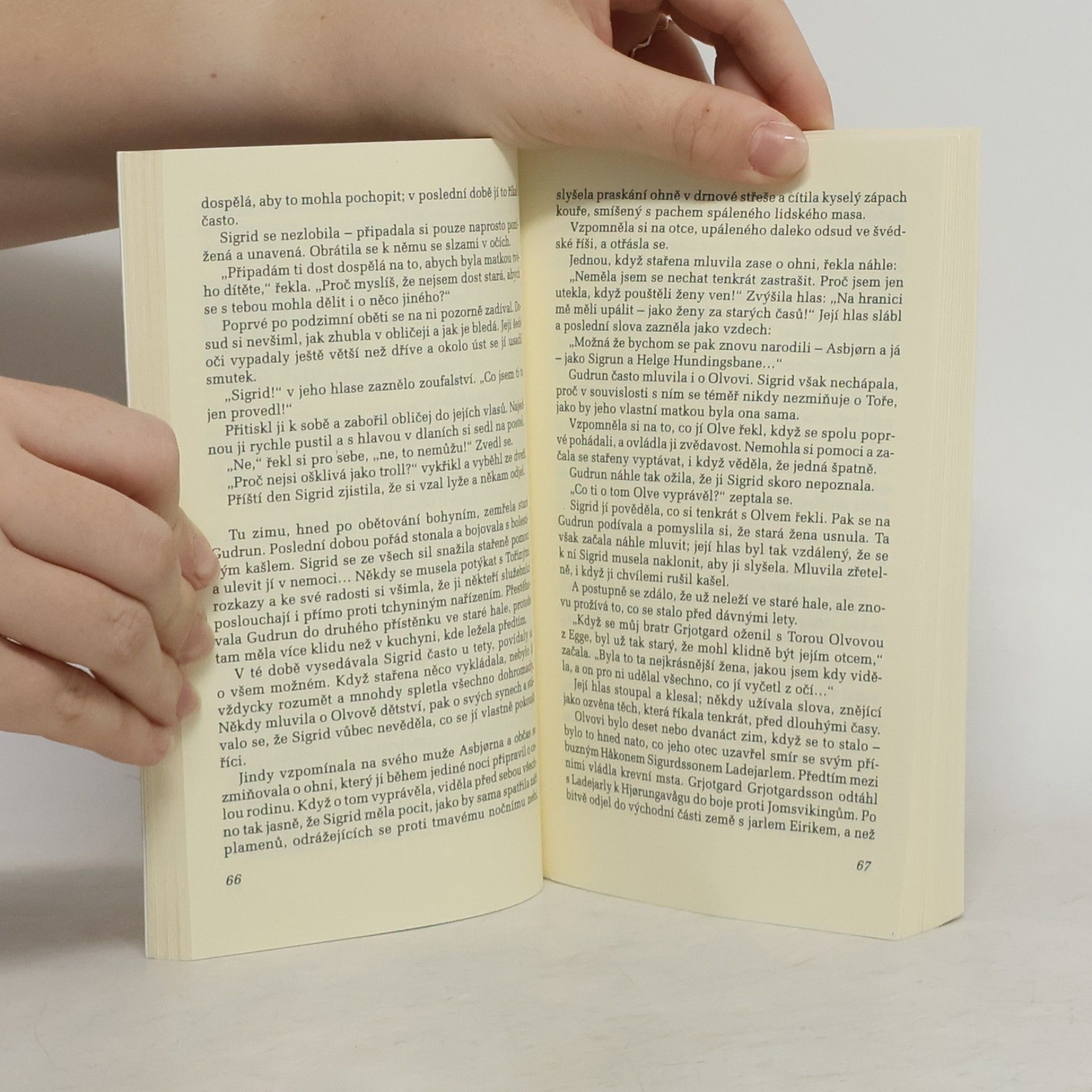 Vera Henriksen Stříbrné kladivo