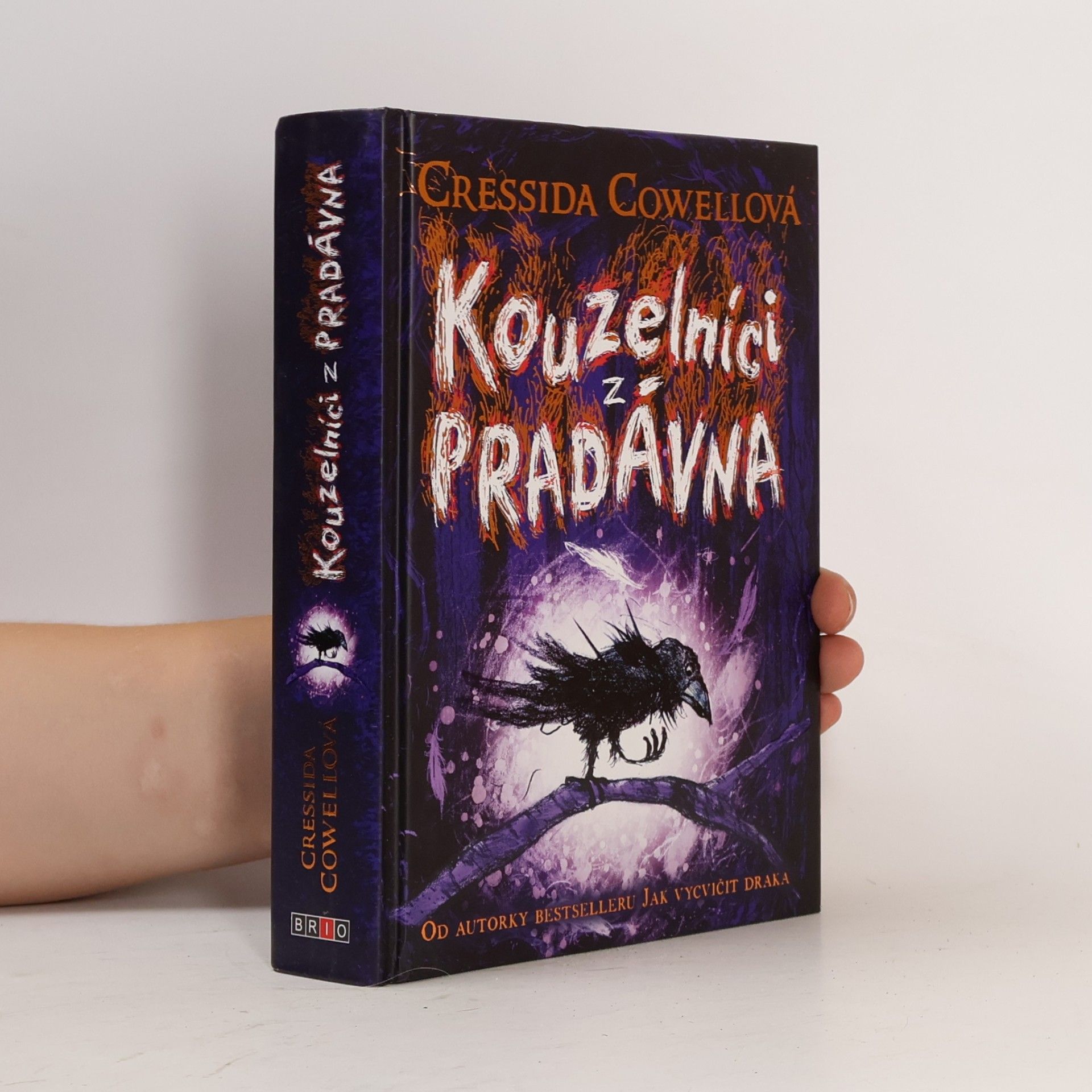 Cressida Cowell Kouzelníci z pradávna