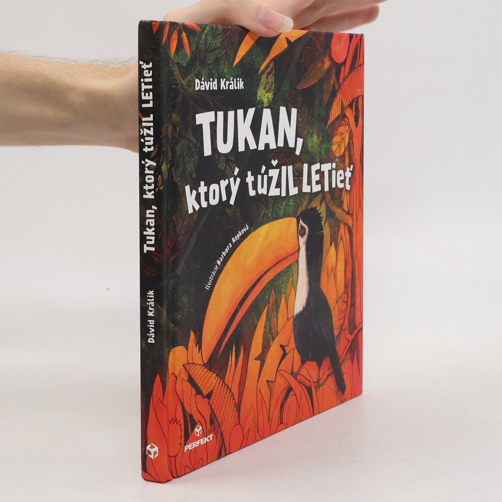 Dávid Králik Tukan, ktorý túžil letieť