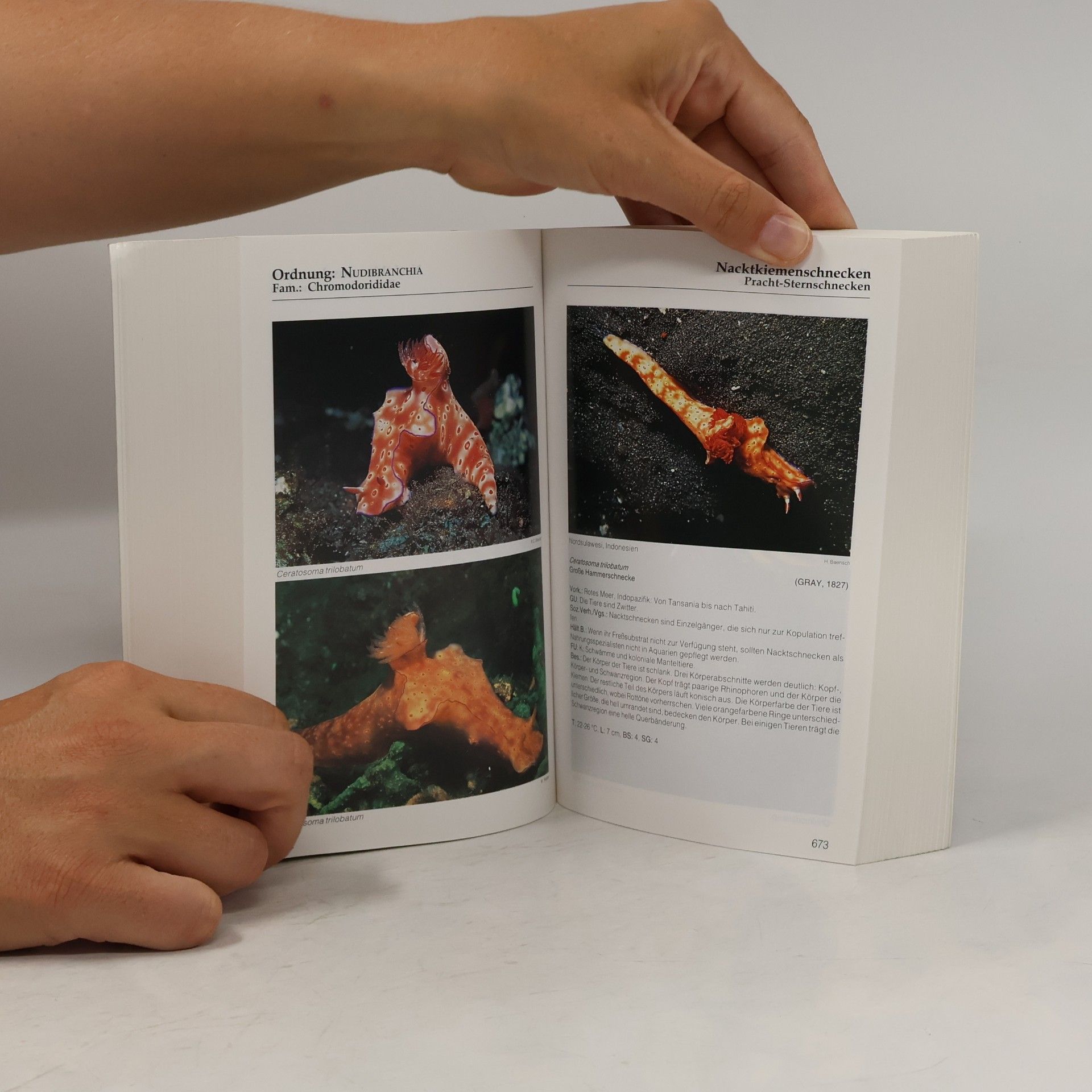 Harry Erhardt Meerwasser-Atlas
