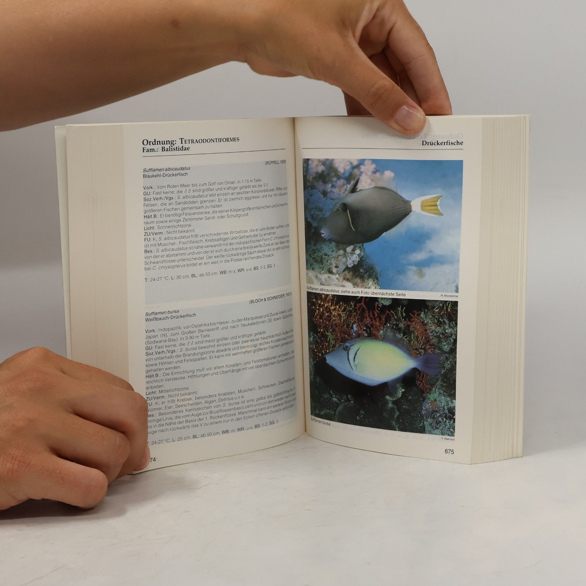 Robert A. Patzner Meerwasser-Atlas
