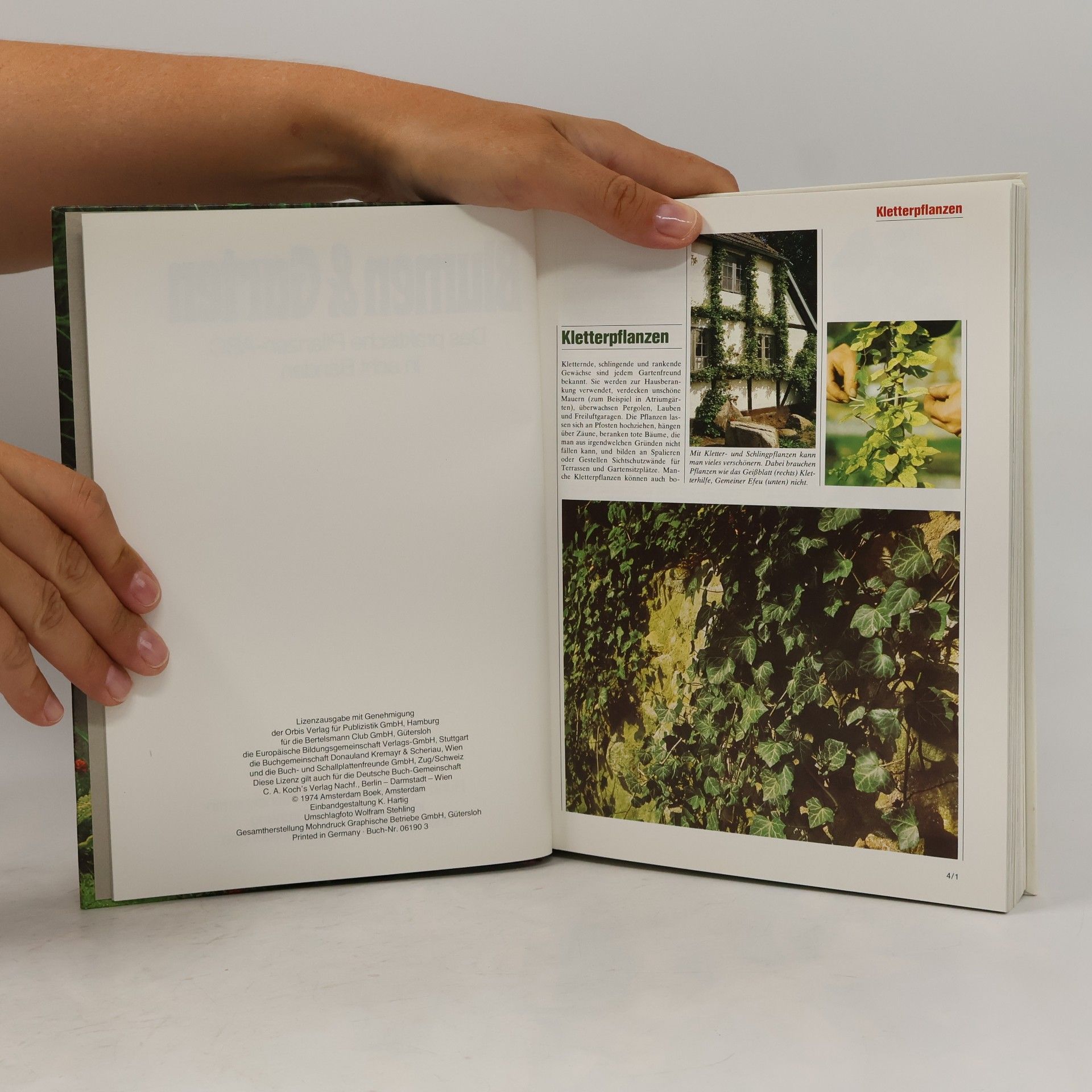 Autorenkollektiv Blumen & Garten 4. Kl-Me