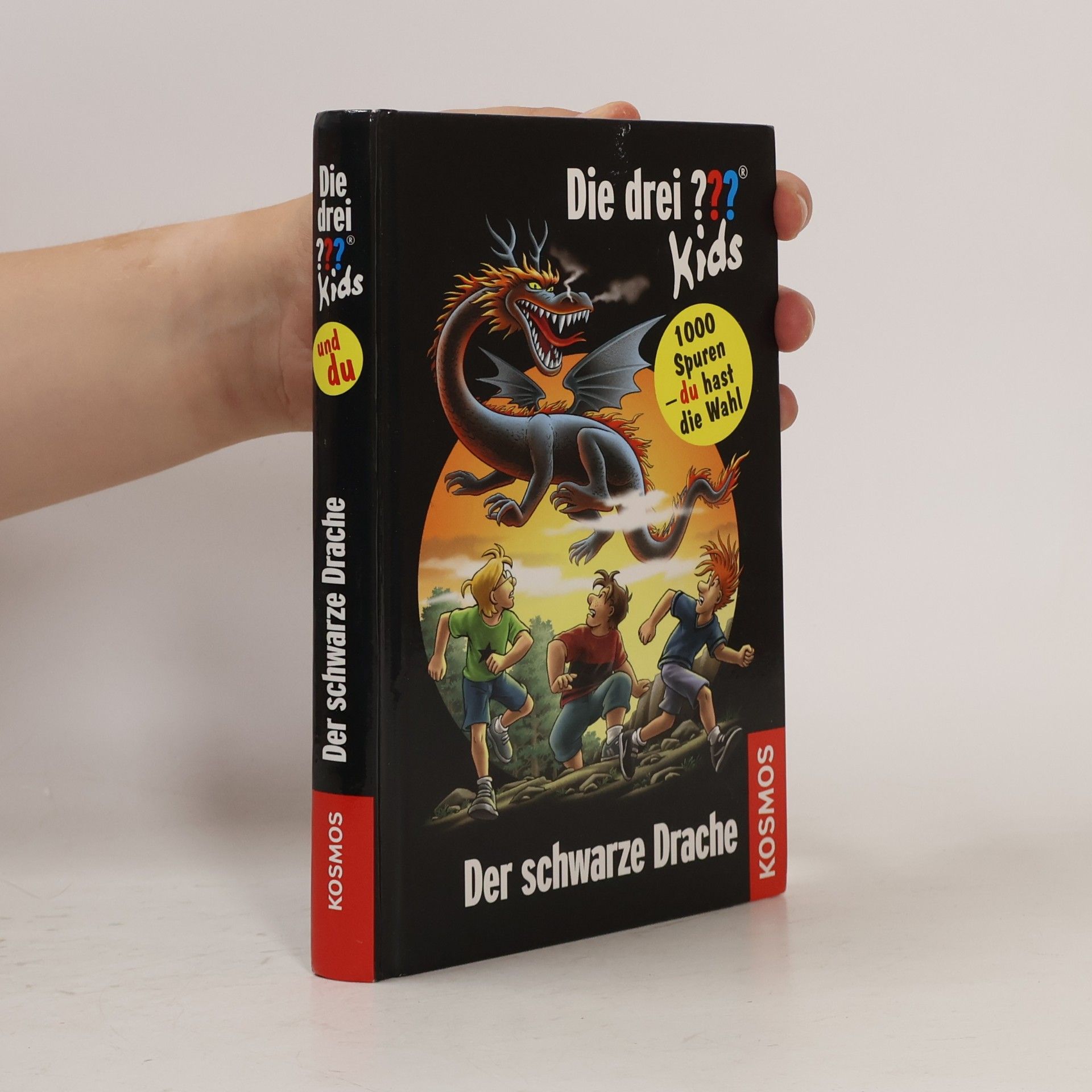 Boris Pfeiffer Der schwarze Drache