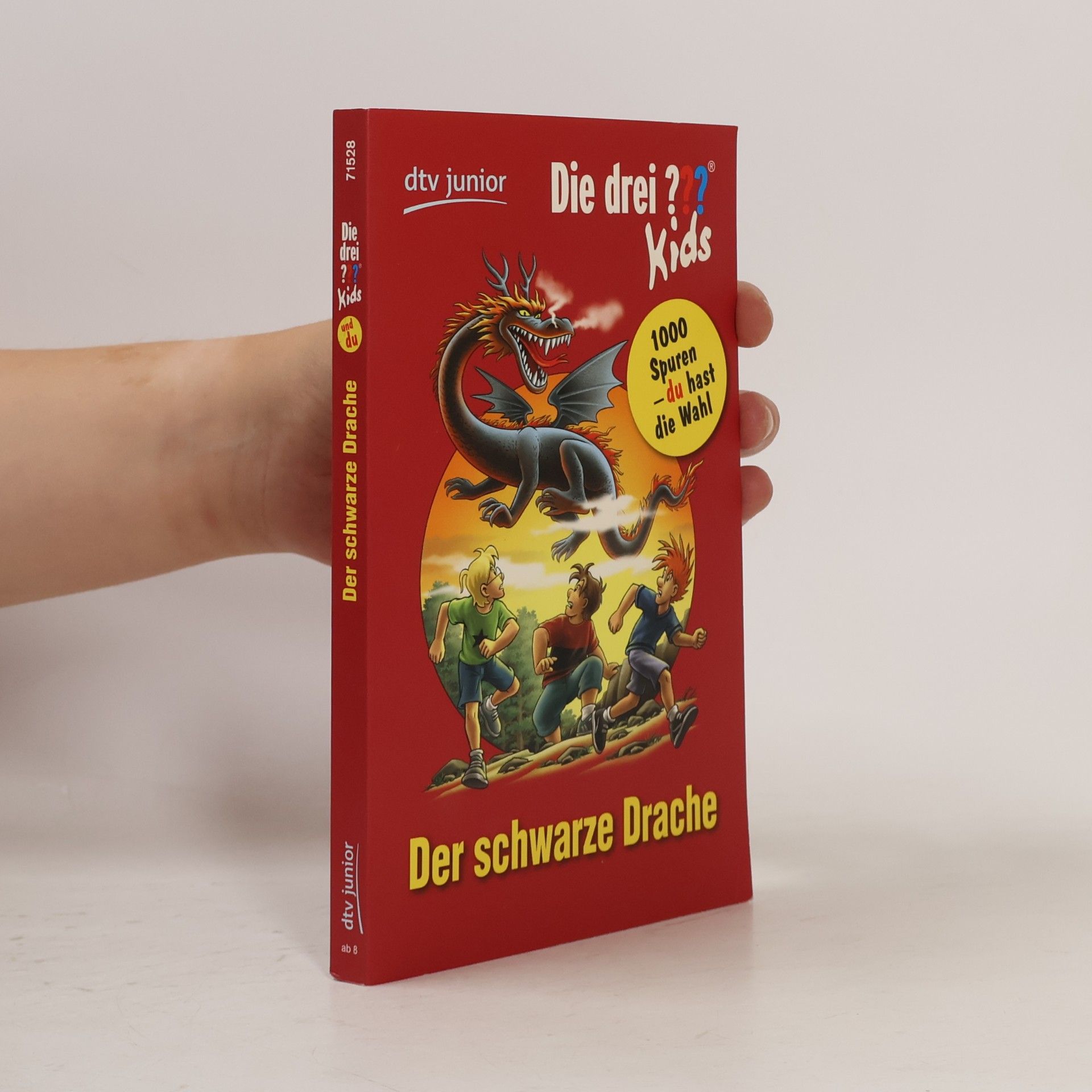 Boris Pfeiffer Die drei ???-Kids - Der schwarze Drache