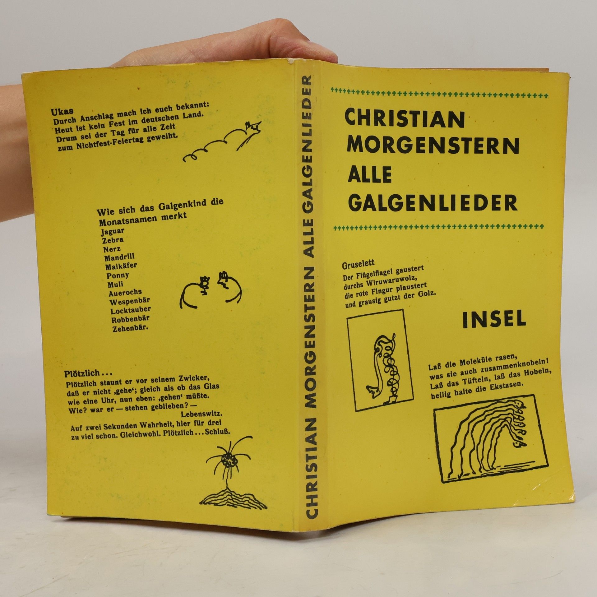 Christian Morgenstern Alle Galgenlieder
