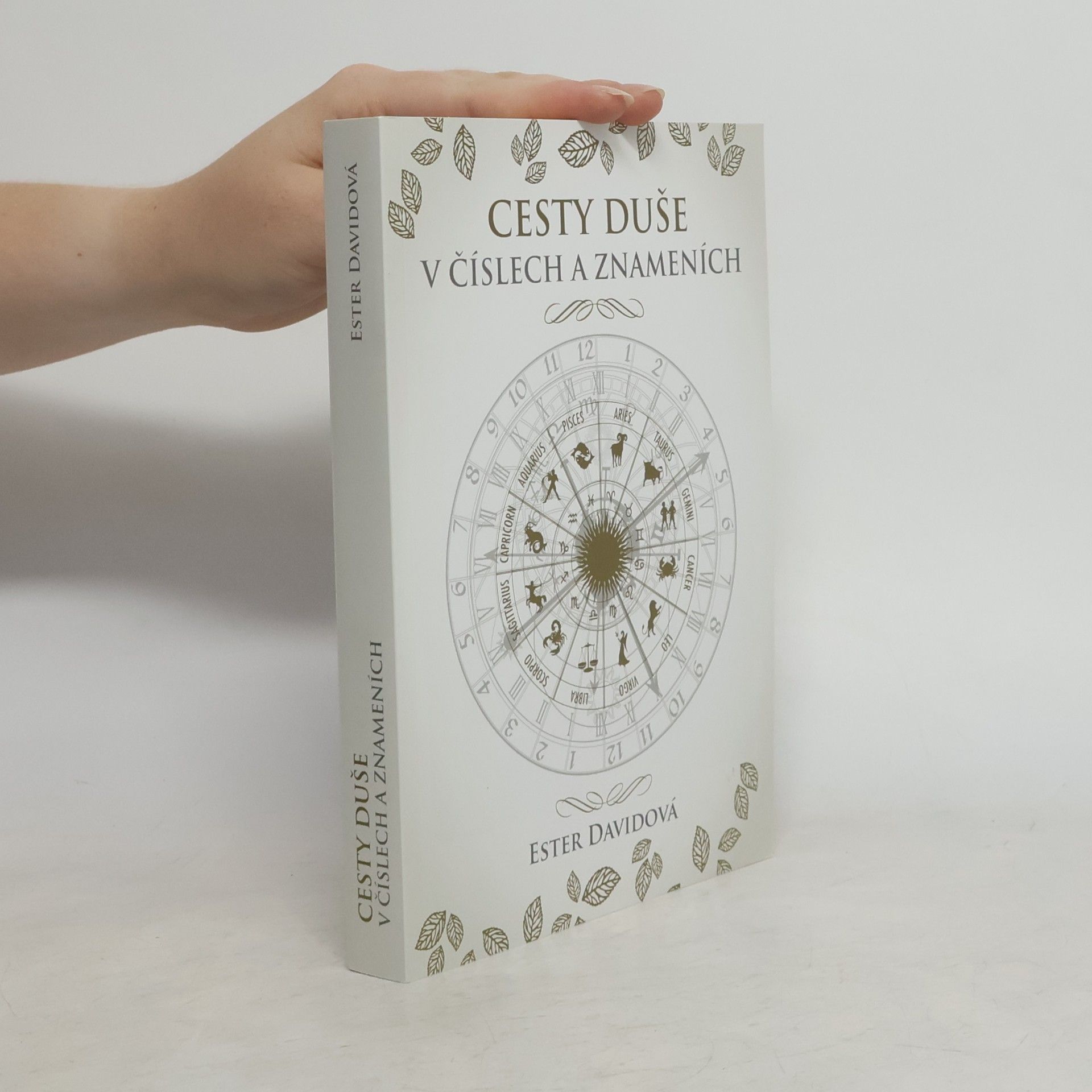 Ester Davidová Cesty duše v číslech a znameních